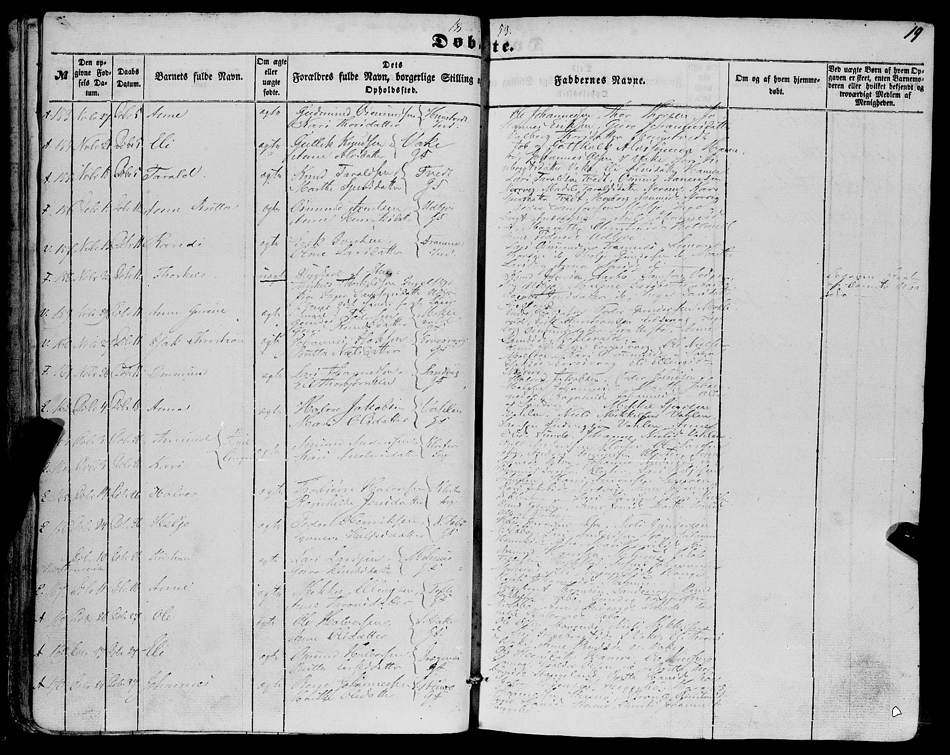 Fjelberg sokneprestembete, SAB/A-75201/H/Haa: Parish register (official) no. A 7, 1851-1867, p. 19