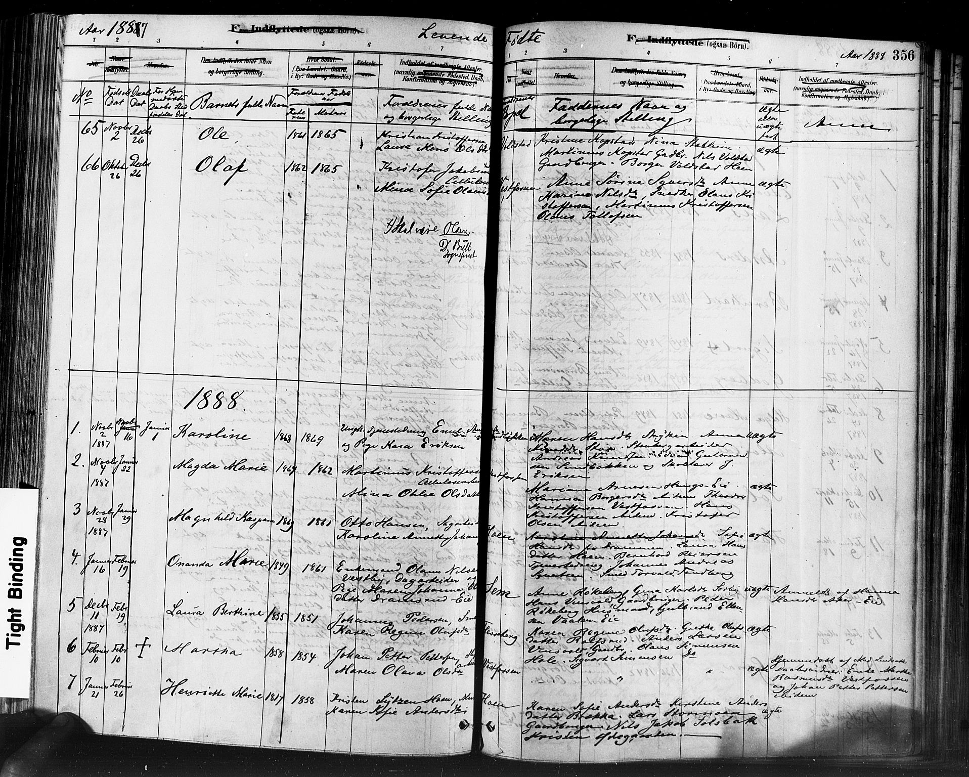 Eiker kirkebøker, SAKO/A-4/F/Fb/L0001: Parish register (official) no. II 1, 1878-1888, p. 356