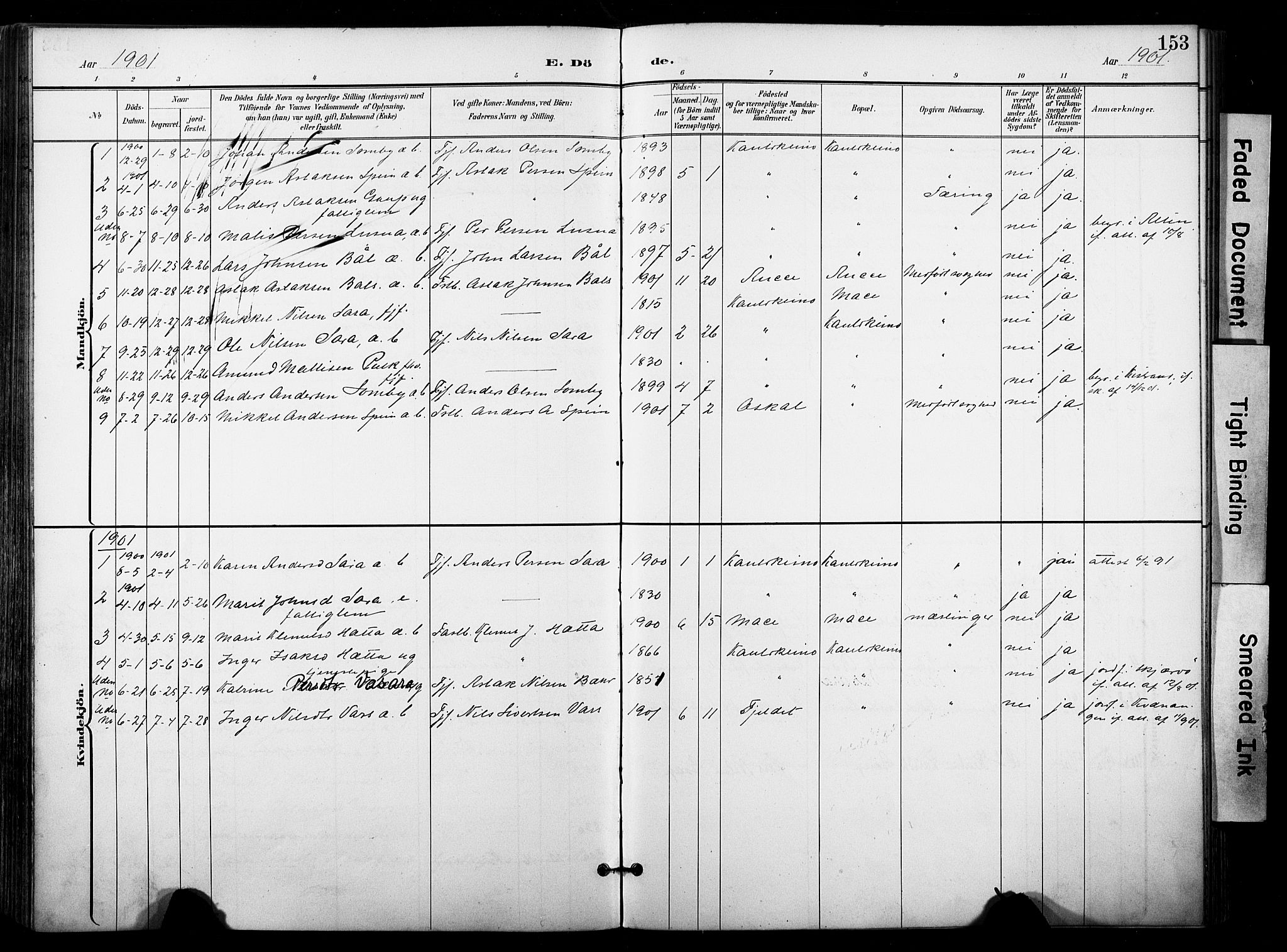 Kautokeino sokneprestembete, SATØ/S-1340/H/Ha/L0005.kirke: Parish register (official) no. 5, 1896-1916, p. 153