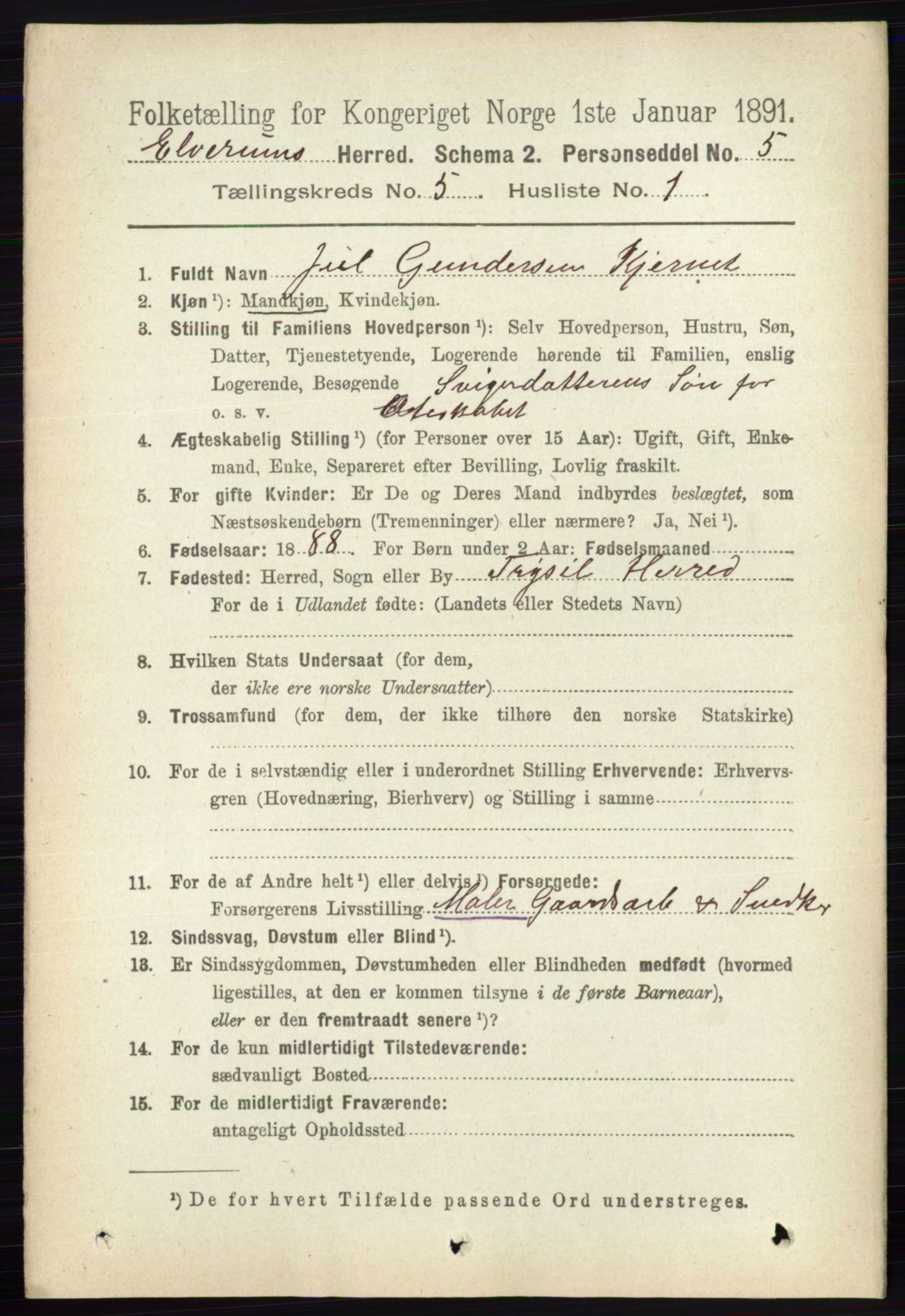 RA, 1891 census for 0427 Elverum, 1891, p. 3085