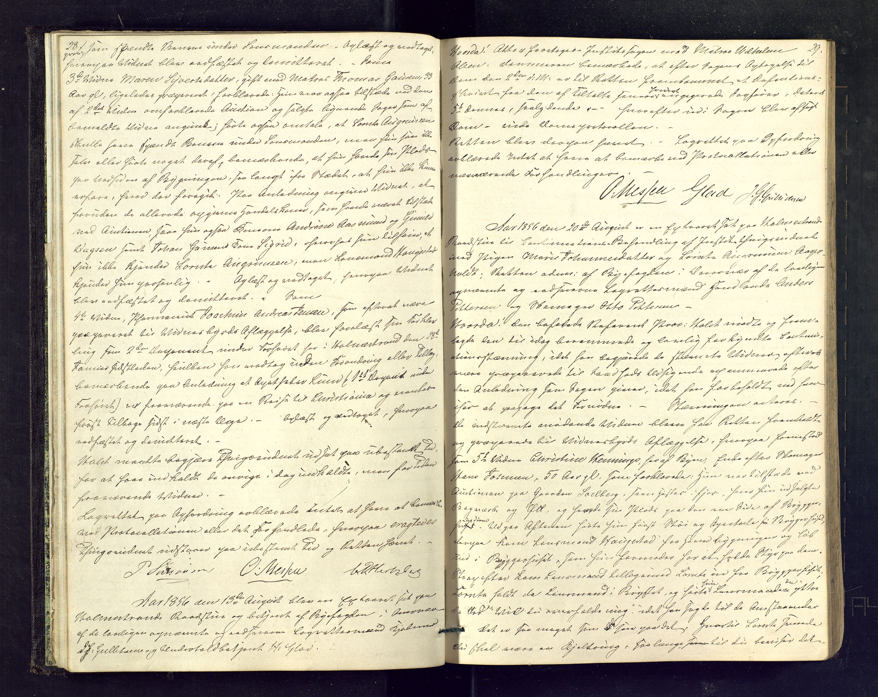 Holmestrand byfogd, AV/SAKO-A-223/F/Fc/L0006: Ekstrarettsprotokoll, 1856-1859, p. 28-29