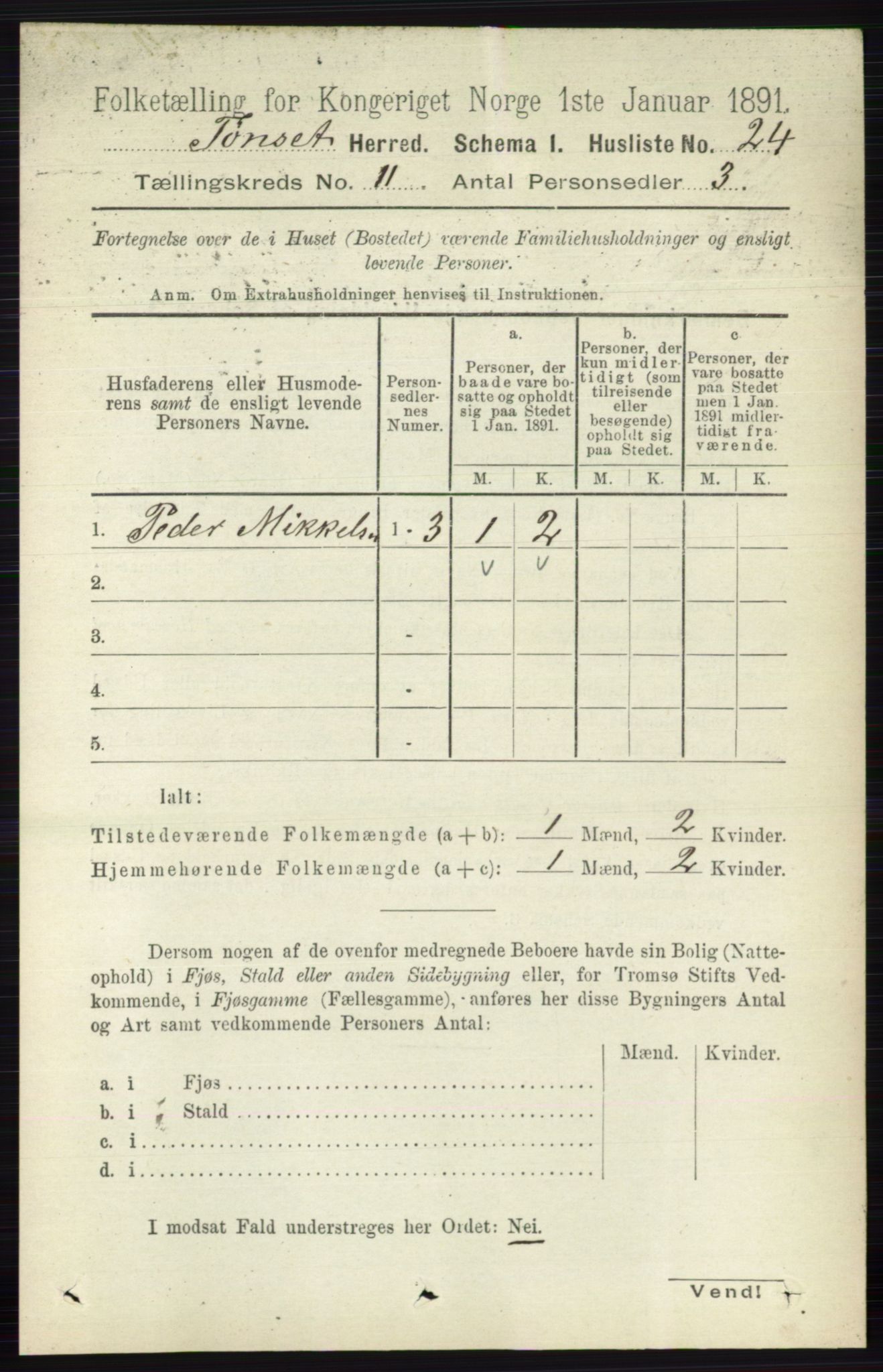 RA, 1891 census for 0437 Tynset, 1891, p. 3007