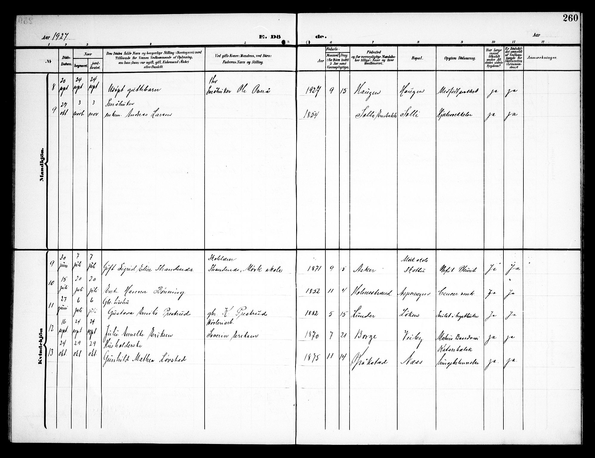 Kråkstad prestekontor Kirkebøker, AV/SAO-A-10125a/G/Ga/L0002: Parish register (copy) no. I 2, 1905-1934, p. 260