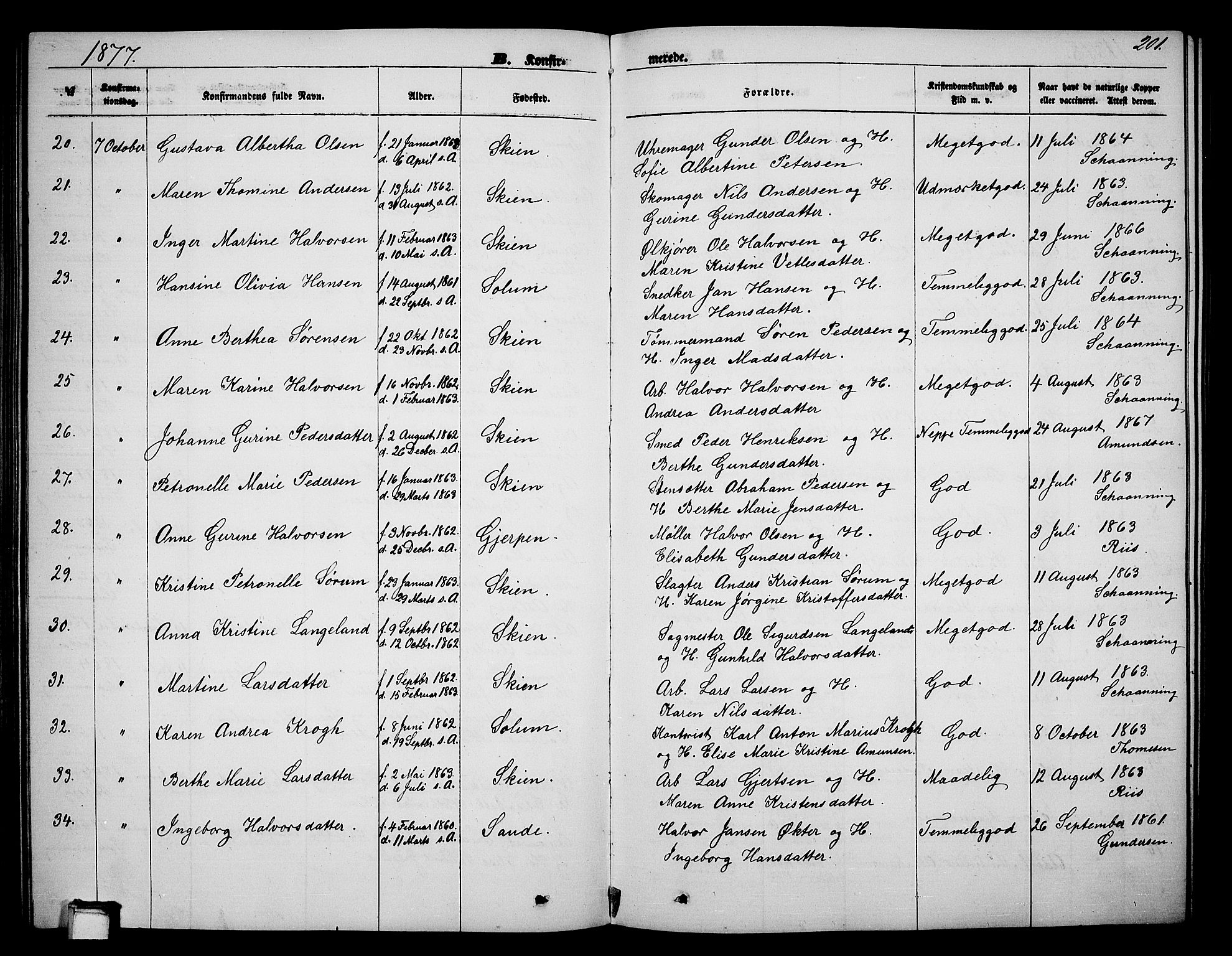 Skien kirkebøker, SAKO/A-302/G/Ga/L0005: Parish register (copy) no. 5, 1868-1880, p. 201