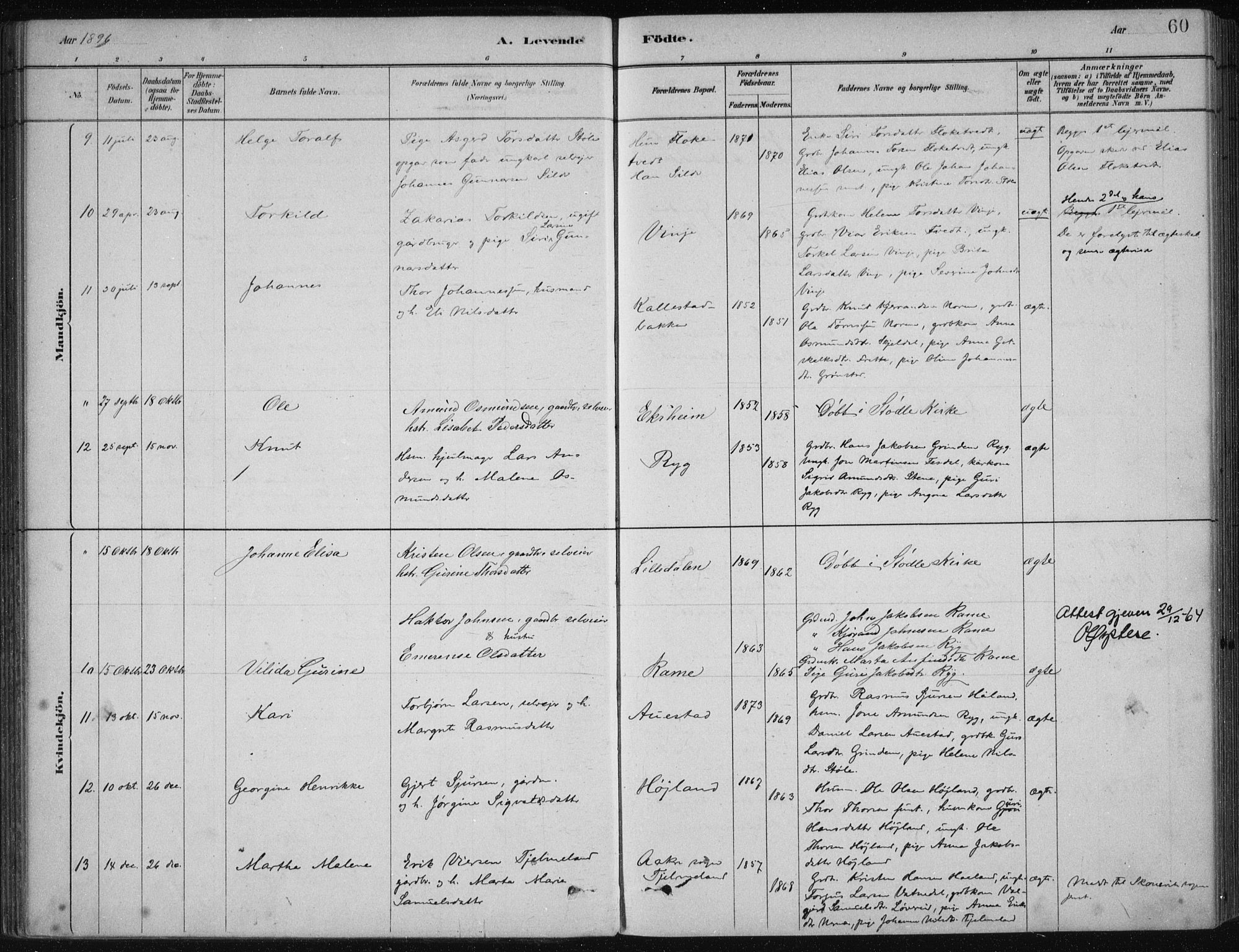 Etne sokneprestembete, AV/SAB-A-75001/H/Haa: Parish register (official) no. D  1, 1879-1919, p. 60