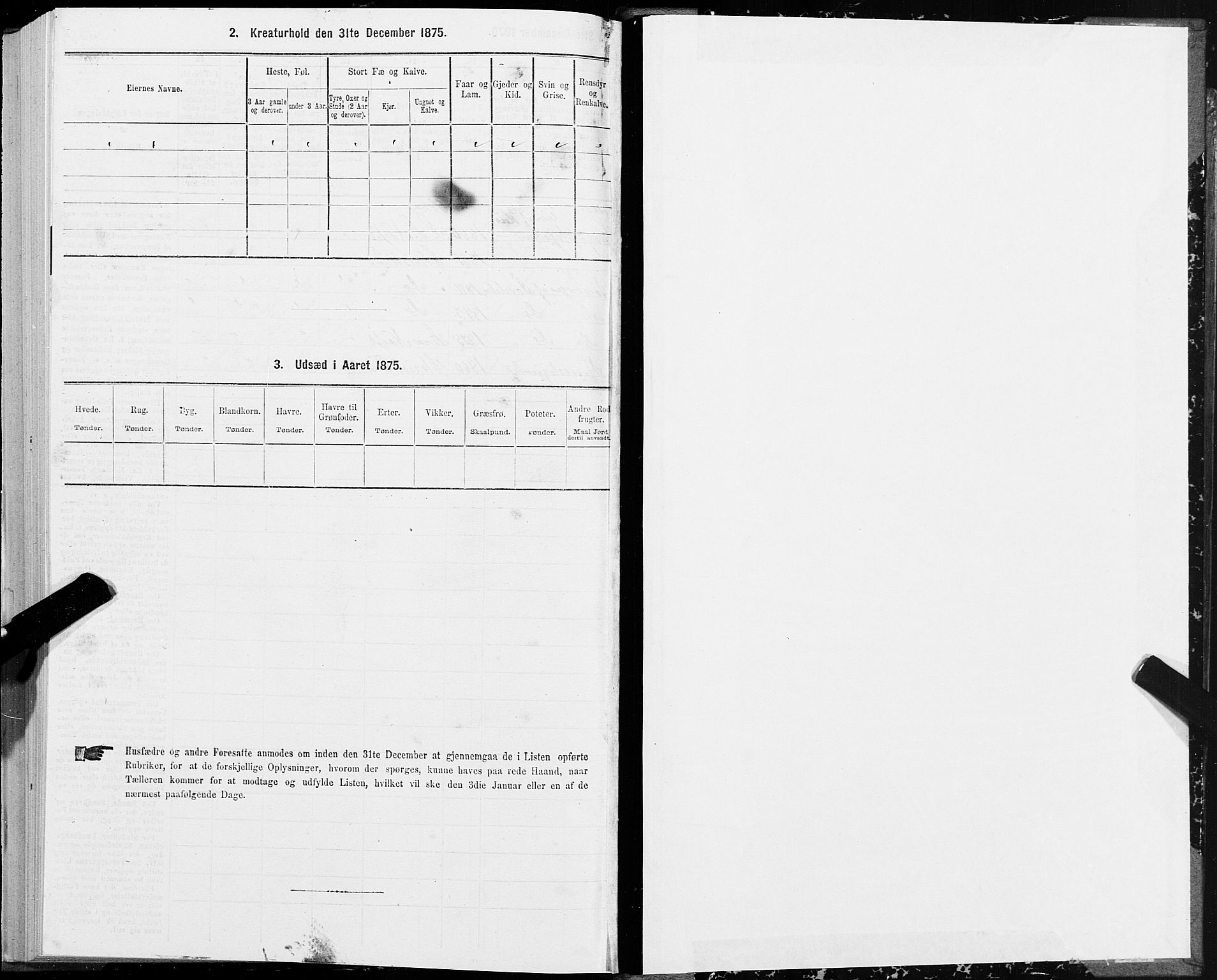 SAT, 1875 census for 1543P Nesset, 1875