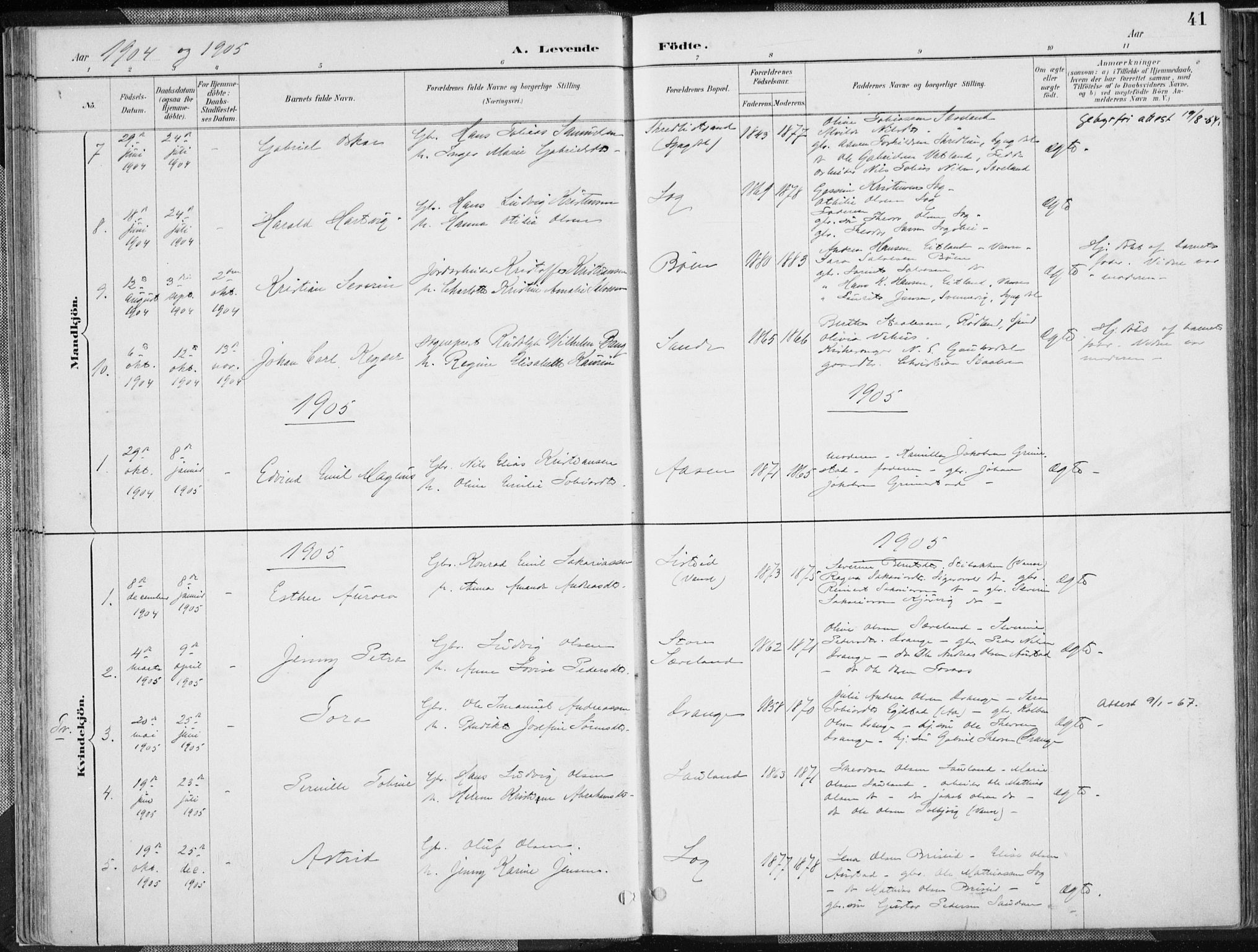 Herad sokneprestkontor, AV/SAK-1111-0018/F/Fa/Faa/L0006: Parish register (official) no. A 6, 1887-1907, p. 41