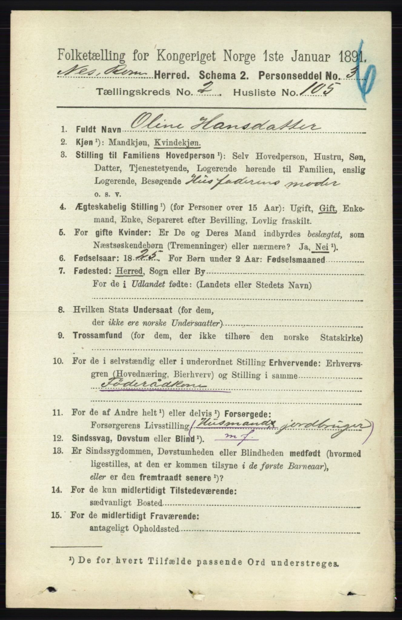 RA, 1891 census for 0236 Nes, 1891, p. 1487