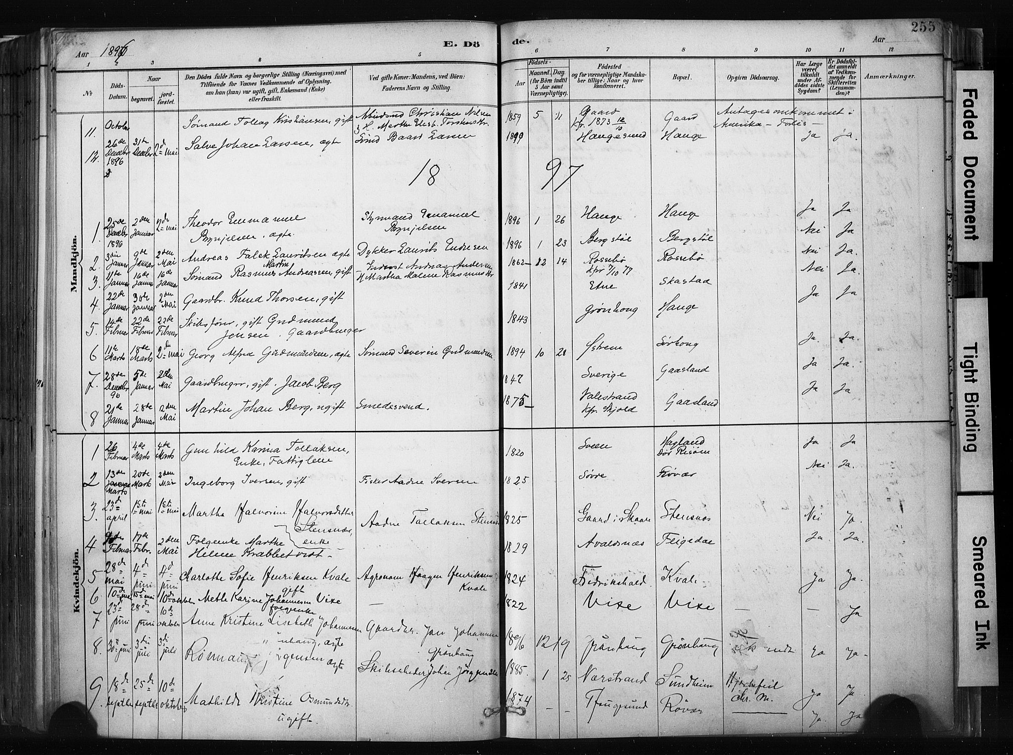 Haugesund sokneprestkontor, AV/SAST-A -101863/H/Ha/Haa/L0004: Parish register (official) no. A 4, 1886-1908, p. 255