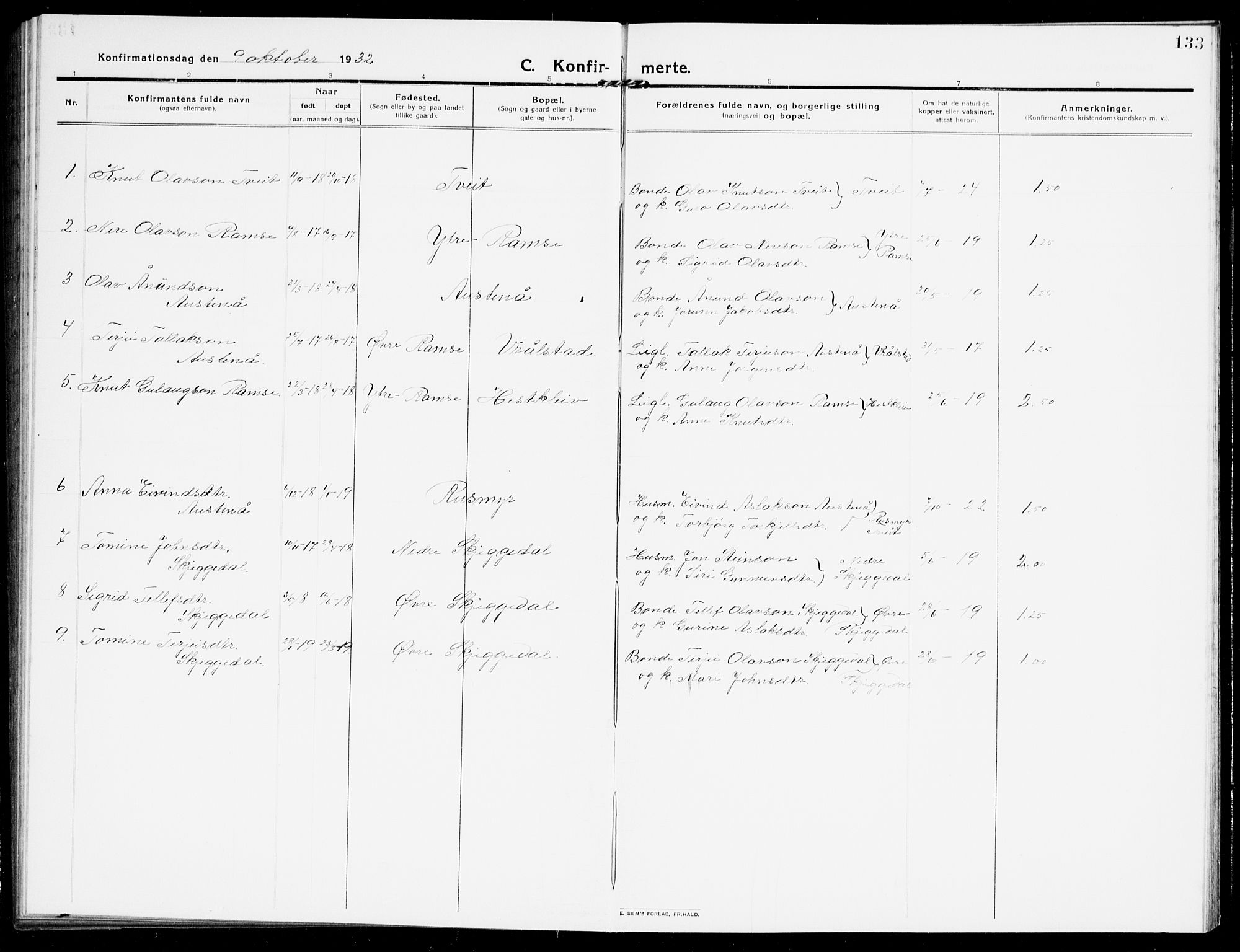 Åmli sokneprestkontor, AV/SAK-1111-0050/F/Fb/Fbb/L0003: Parish register (copy) no. B 3, 1906-1941, p. 133