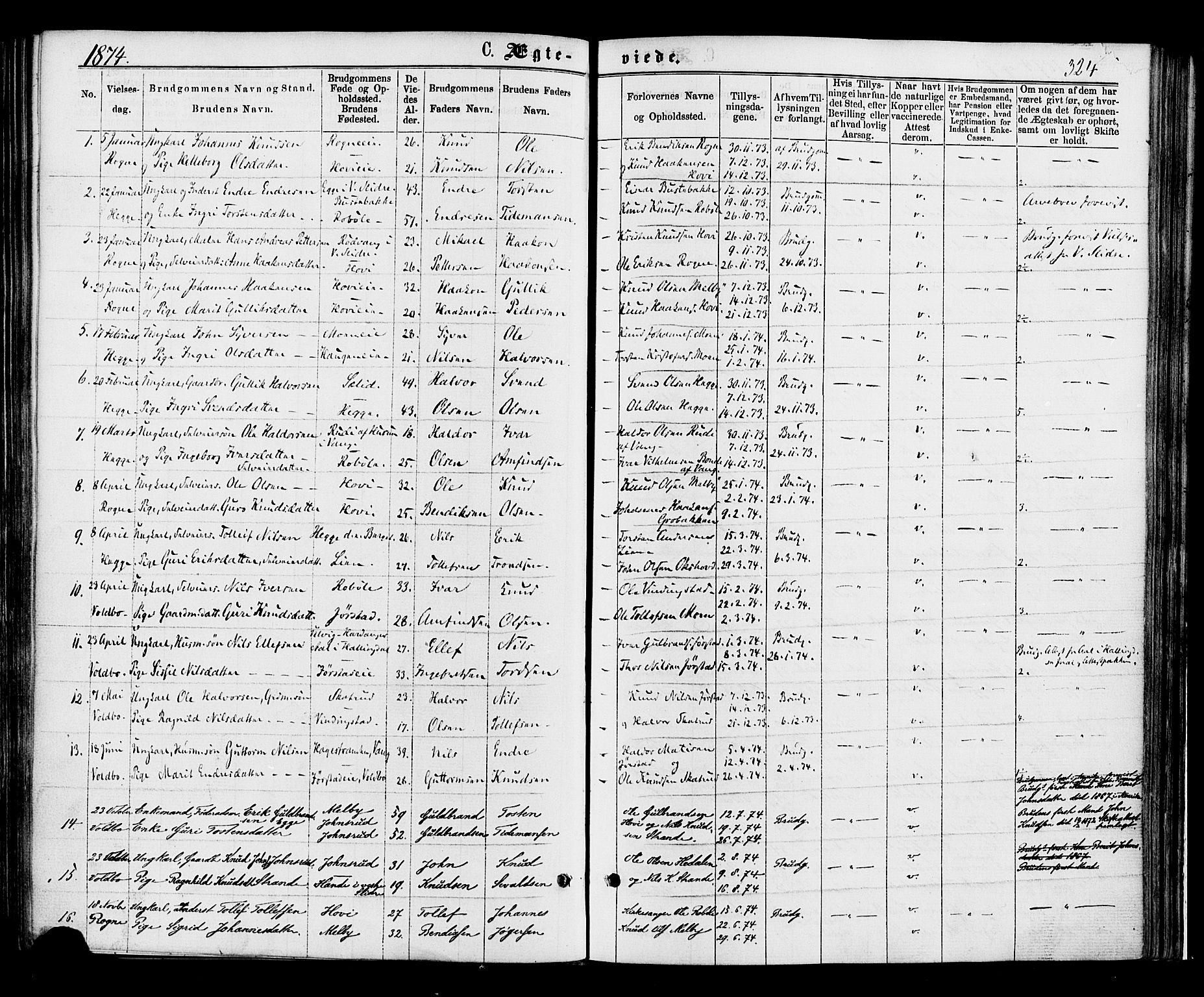 Øystre Slidre prestekontor, SAH/PREST-138/H/Ha/Haa/L0002: Parish register (official) no. 2, 1874-1886, p. 324