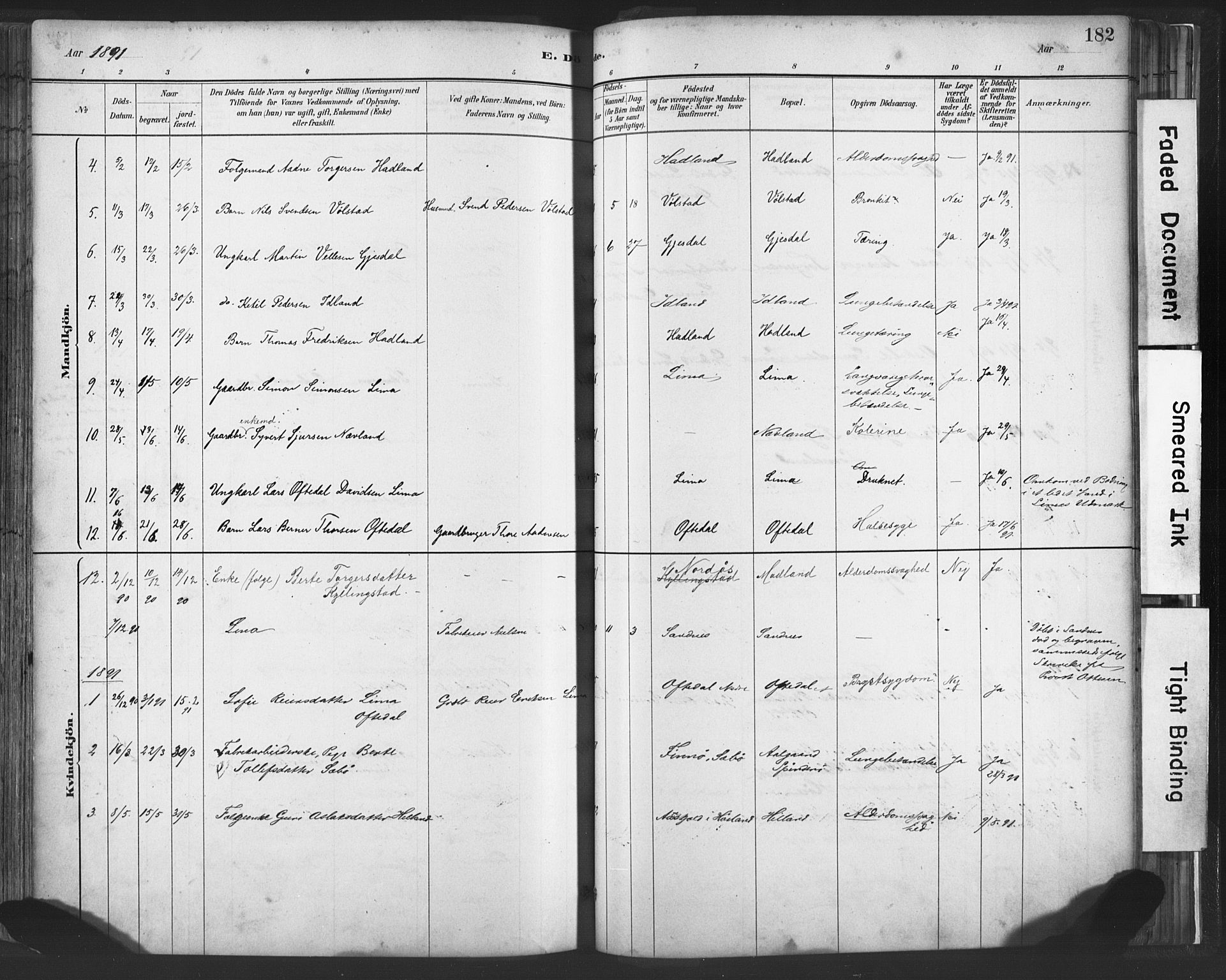 Lye sokneprestkontor, SAST/A-101794/001/30BA/L0010: Parish register (official) no. A 10, 1881-1896, p. 182