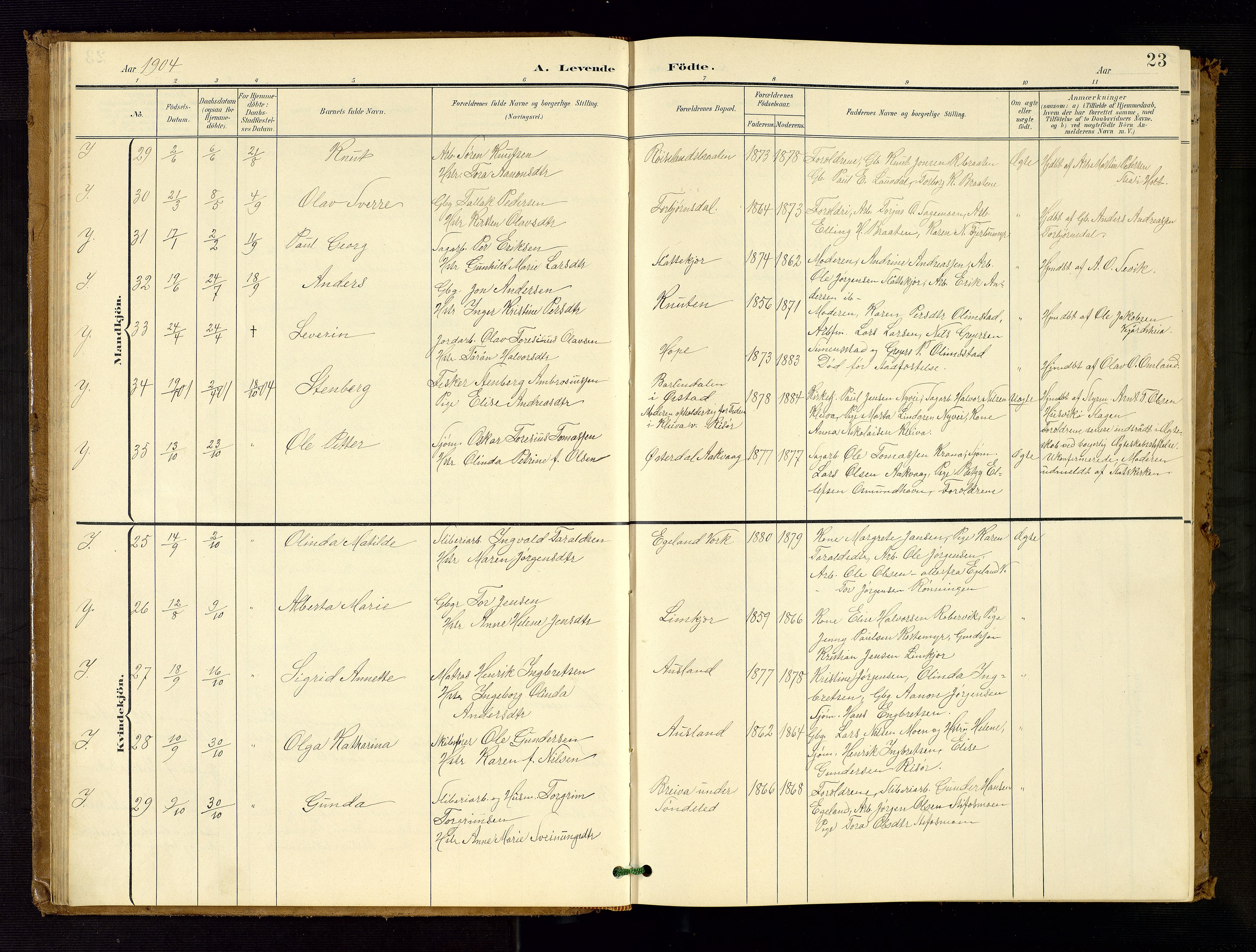 Søndeled sokneprestkontor, AV/SAK-1111-0038/F/Fb/L0005: Parish register (copy) no. B 6, 1900-1962, p. 23