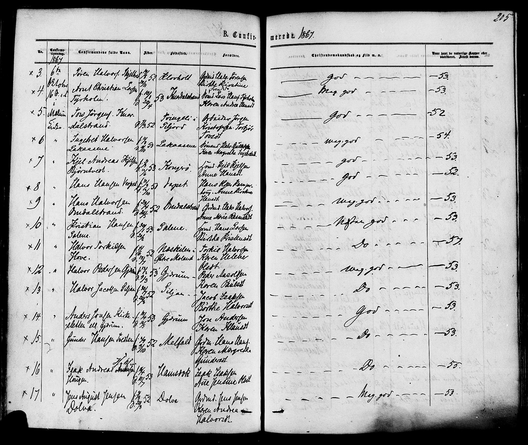 Solum kirkebøker, AV/SAKO-A-306/F/Fa/L0008: Parish register (official) no. I 8, 1865-1876, p. 205