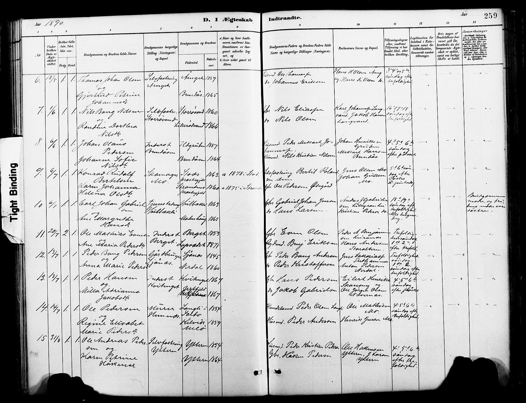 Ministerialprotokoller, klokkerbøker og fødselsregistre - Nordland, AV/SAT-A-1459/827/L0421: Parish register (copy) no. 827C10, 1887-1906, p. 259