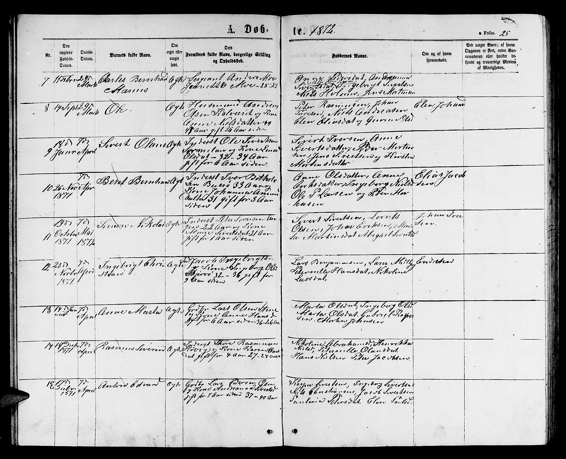 Ministerialprotokoller, klokkerbøker og fødselsregistre - Sør-Trøndelag, SAT/A-1456/658/L0725: Parish register (copy) no. 658C01, 1867-1882, p. 25