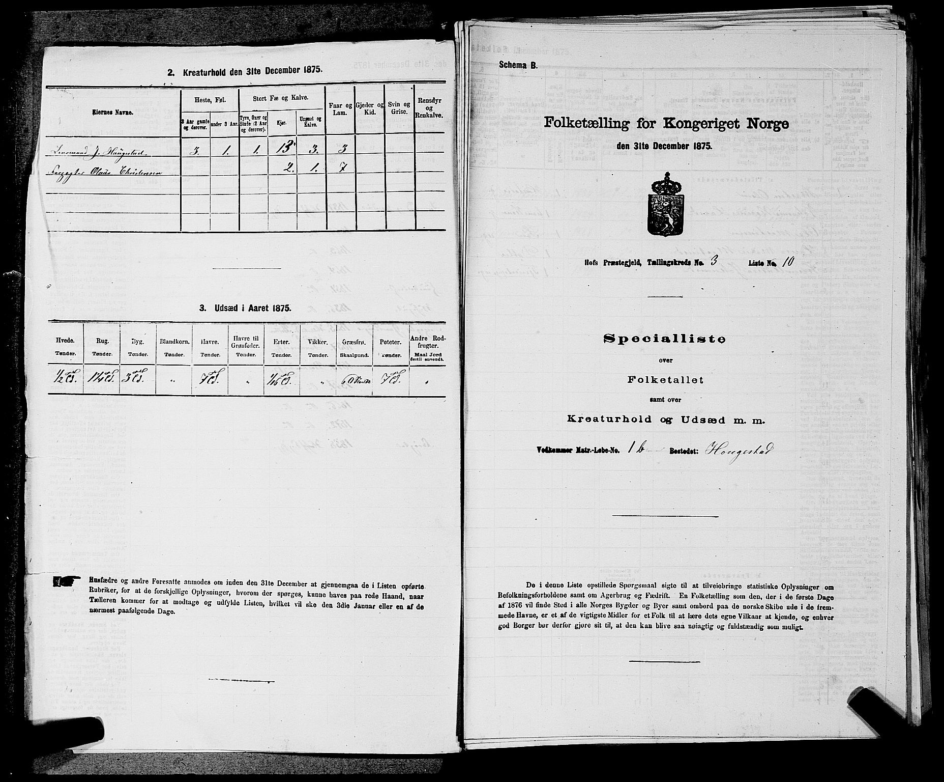 SAKO, 1875 census for 0714P Hof, 1875, p. 267