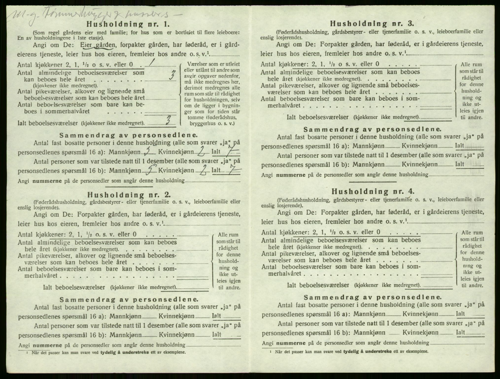 SAKO, 1920 census for Tyristrand, 1920, p. 247