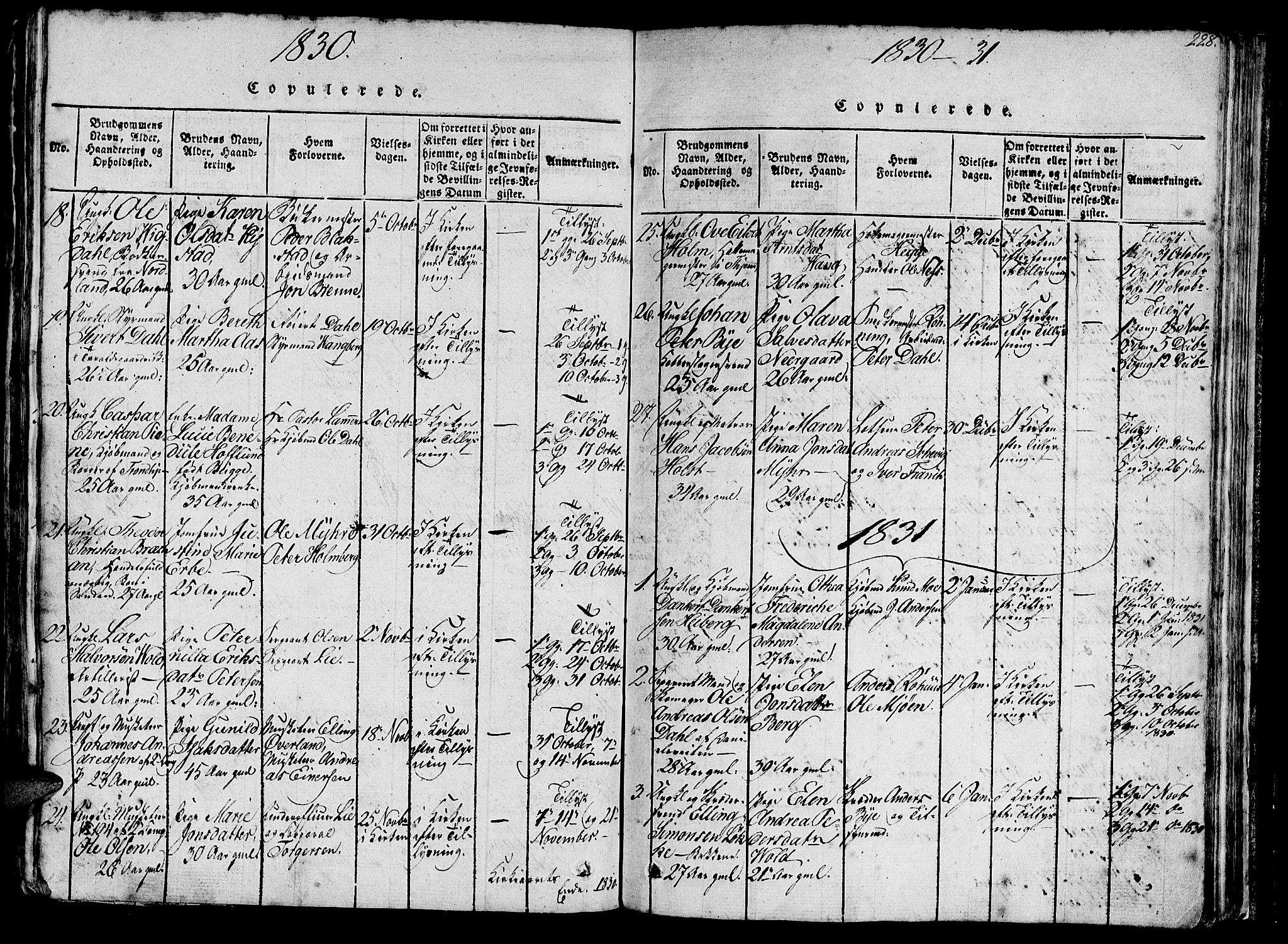 Ministerialprotokoller, klokkerbøker og fødselsregistre - Sør-Trøndelag, AV/SAT-A-1456/602/L0135: Parish register (copy) no. 602C03, 1815-1832, p. 228