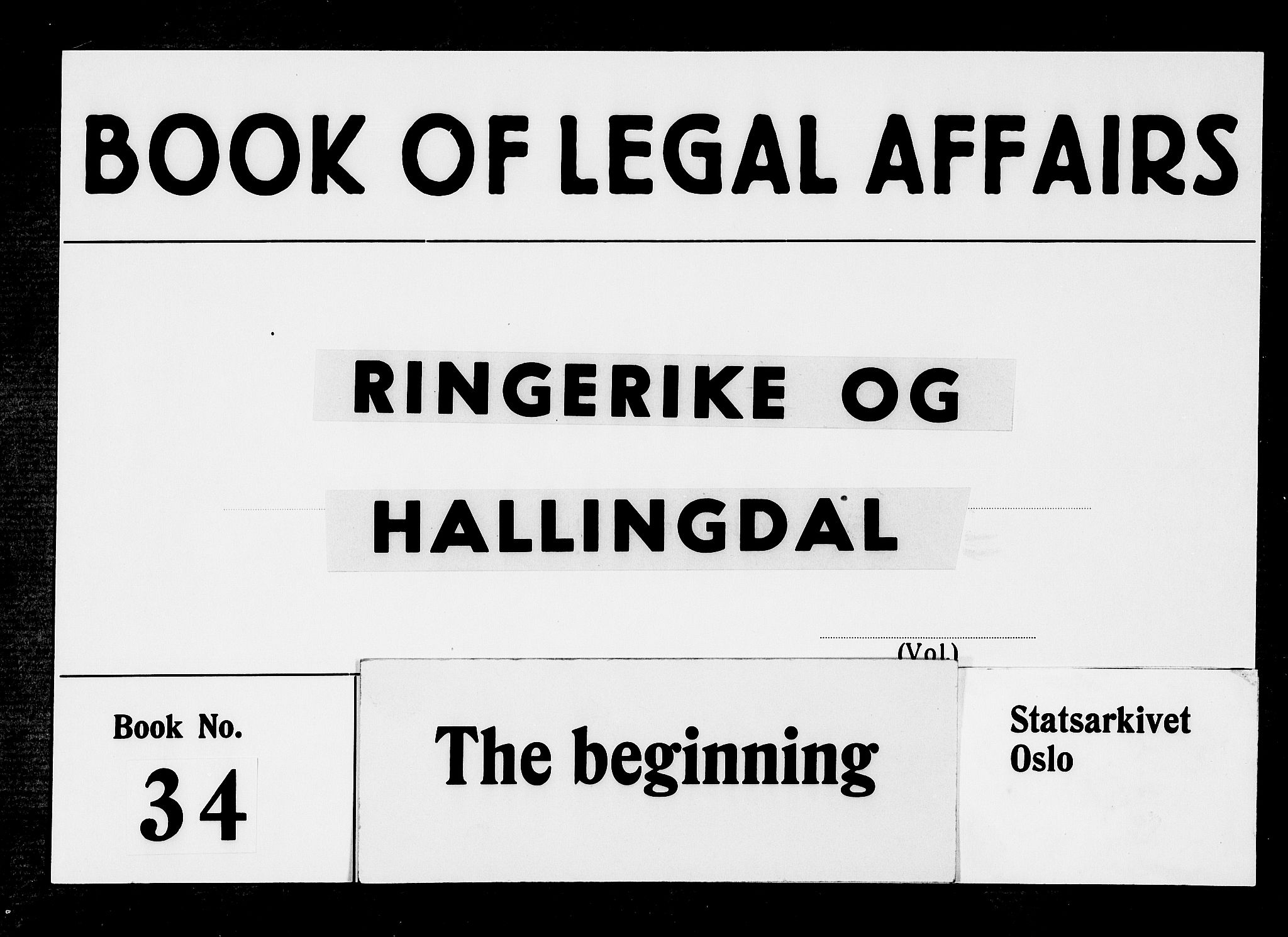 Ringerike og Hallingdal sorenskriveri, AV/SAKO-A-81/F/Fa/Faa/L0022: Tingbok, 1687-1699