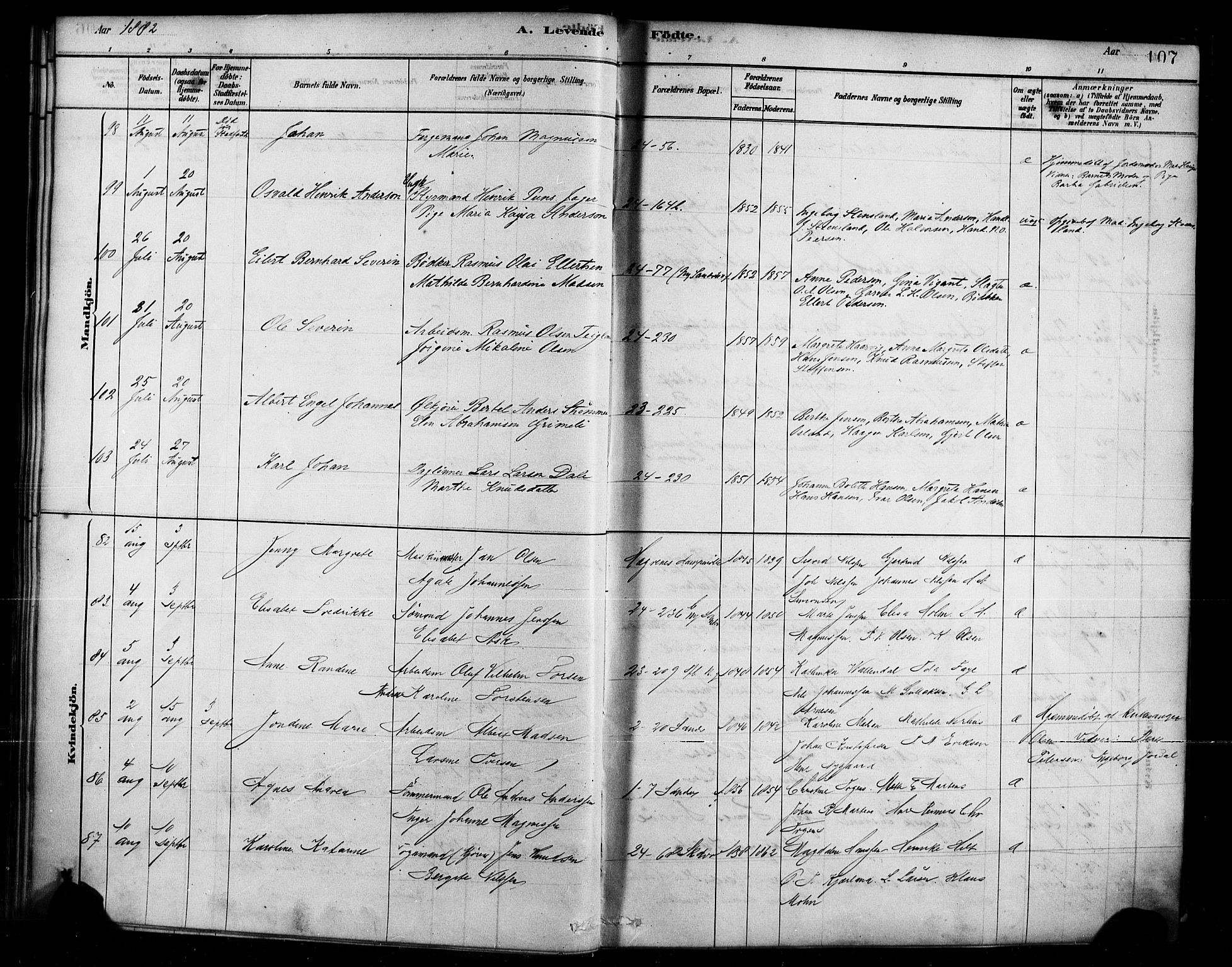 Sandviken Sokneprestembete, AV/SAB-A-77601/H/Ha/L0004: Parish register (official) no. B 1, 1878-1891, p. 107