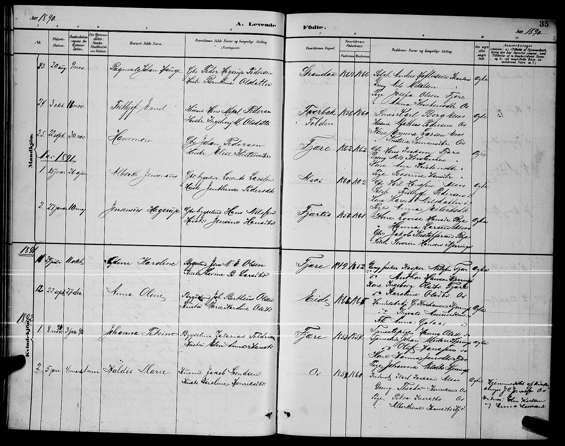 Ministerialprotokoller, klokkerbøker og fødselsregistre - Nordland, AV/SAT-A-1459/803/L0076: Parish register (copy) no. 803C03, 1882-1897, p. 35