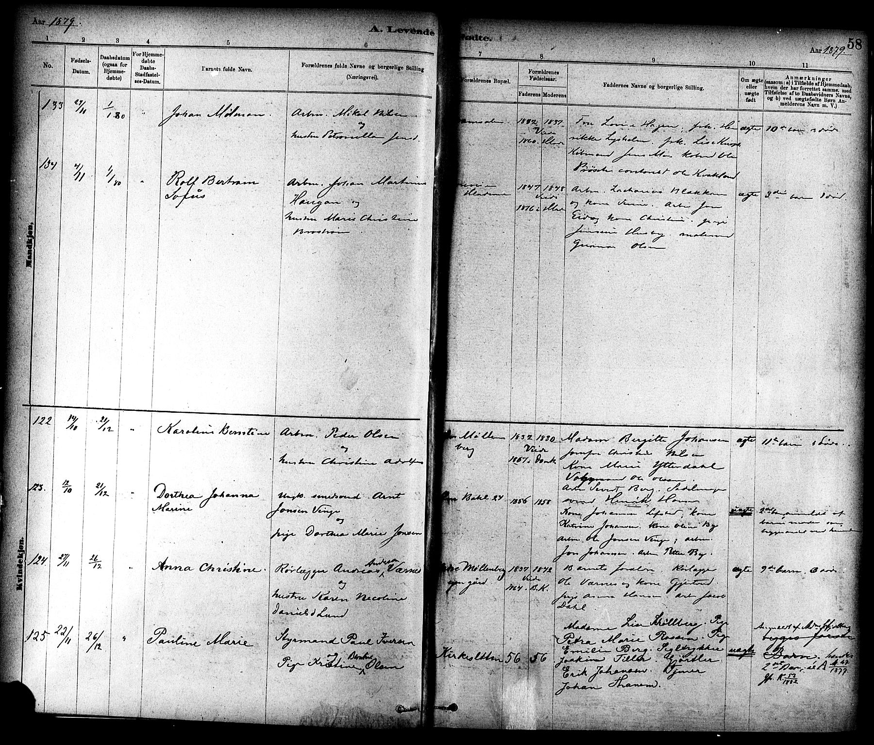 Ministerialprotokoller, klokkerbøker og fødselsregistre - Sør-Trøndelag, AV/SAT-A-1456/604/L0188: Parish register (official) no. 604A09, 1878-1892, p. 58