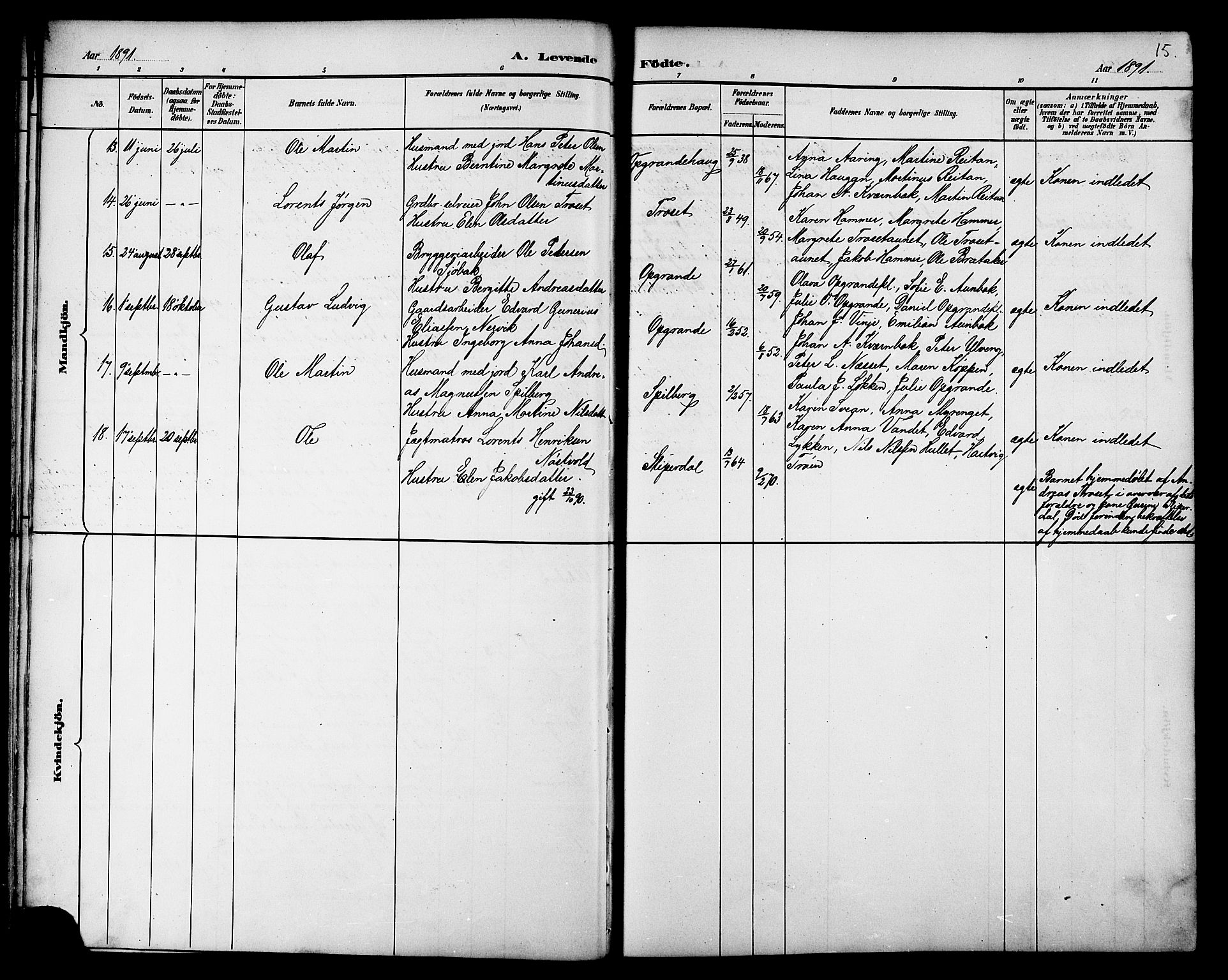 Ministerialprotokoller, klokkerbøker og fødselsregistre - Nord-Trøndelag, AV/SAT-A-1458/733/L0327: Parish register (copy) no. 733C02, 1888-1918, p. 15