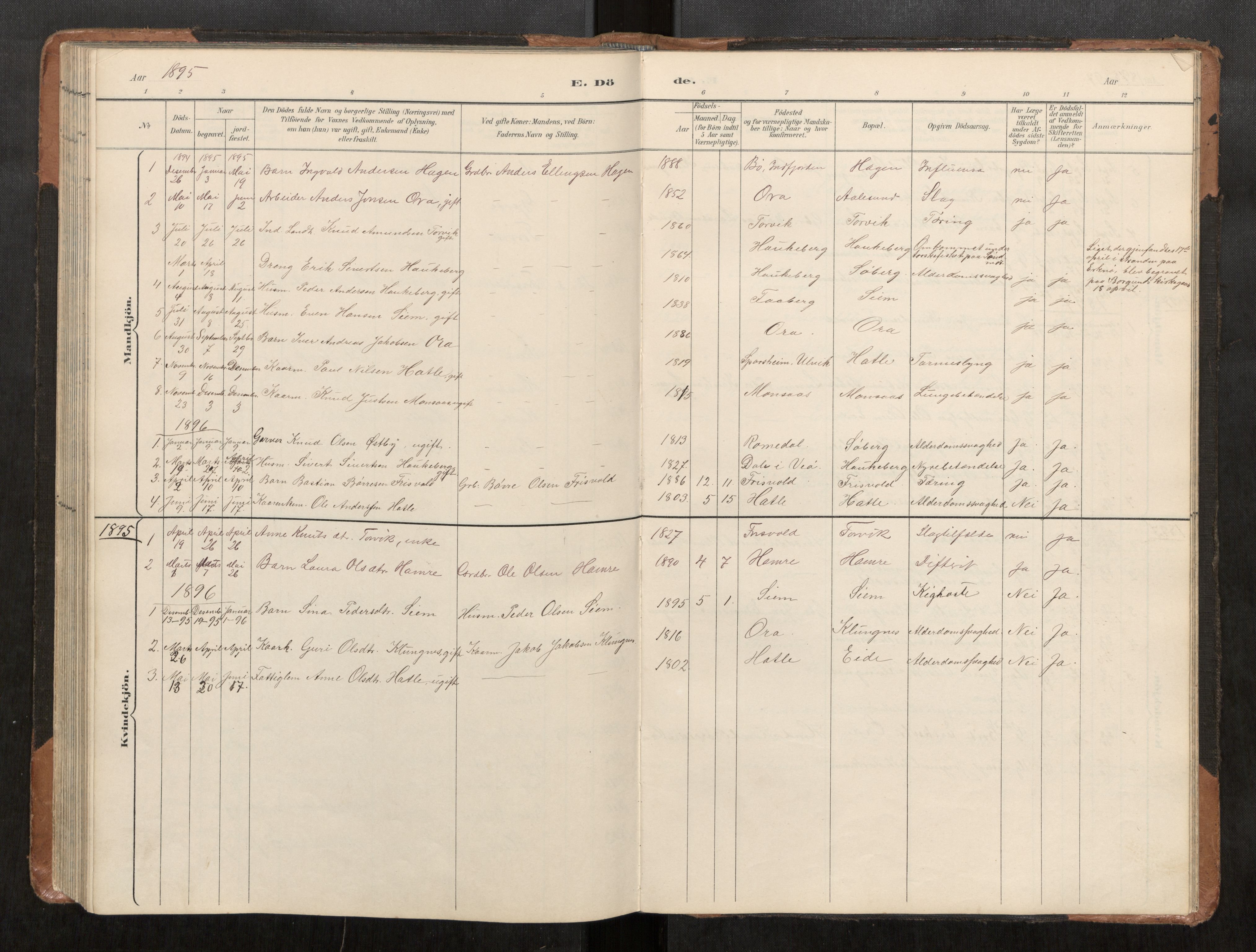 Ministerialprotokoller, klokkerbøker og fødselsregistre - Møre og Romsdal, AV/SAT-A-1454/542/L0561: Parish register (copy) no. 542C03, 1893-1931