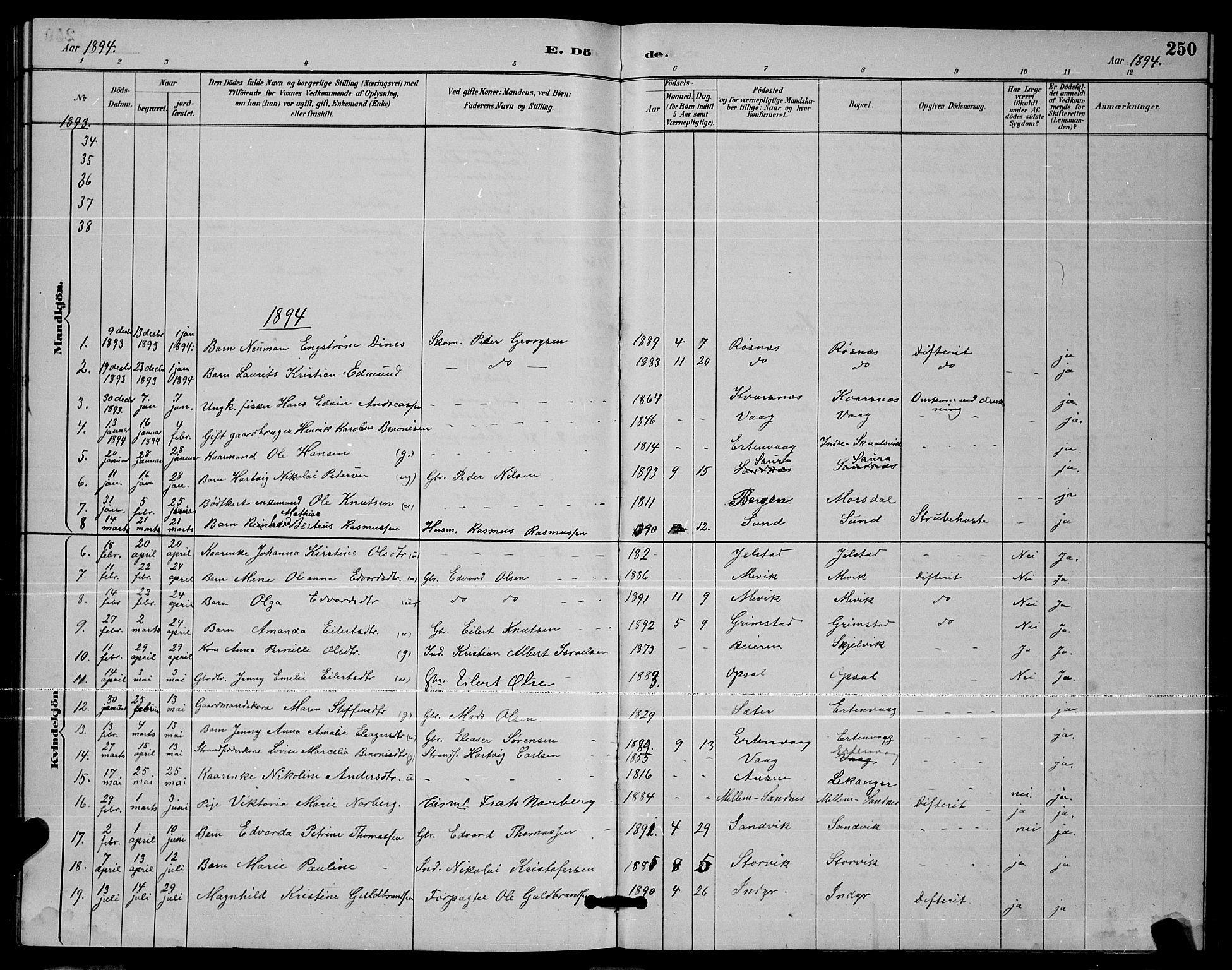 Ministerialprotokoller, klokkerbøker og fødselsregistre - Nordland, AV/SAT-A-1459/805/L0108: Parish register (copy) no. 805C04, 1885-1899, p. 250