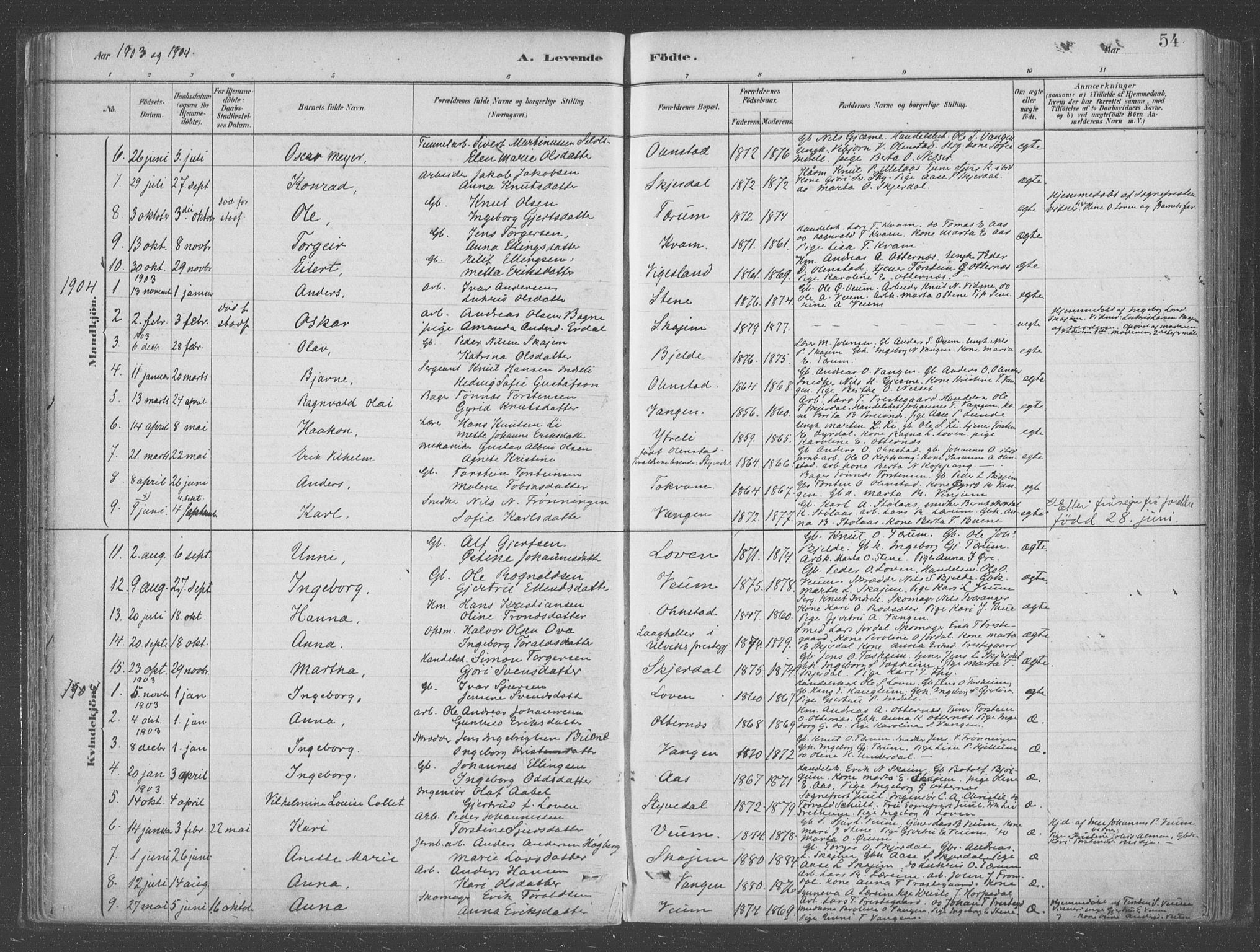 Aurland sokneprestembete, SAB/A-99937/H/Ha/Hab/L0001: Parish register (official) no. B  1, 1880-1909, p. 54