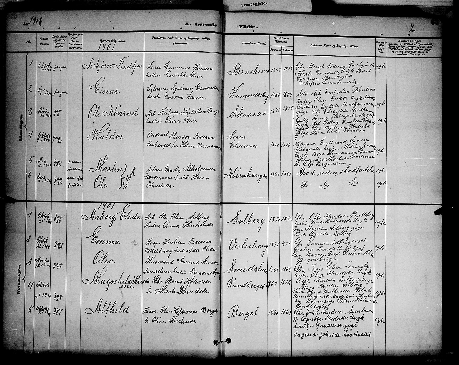 Våler prestekontor, Hedmark, AV/SAH-PREST-040/H/Ha/Hab/L0001: Parish register (copy) no. 1, 1894-1904, p. 63