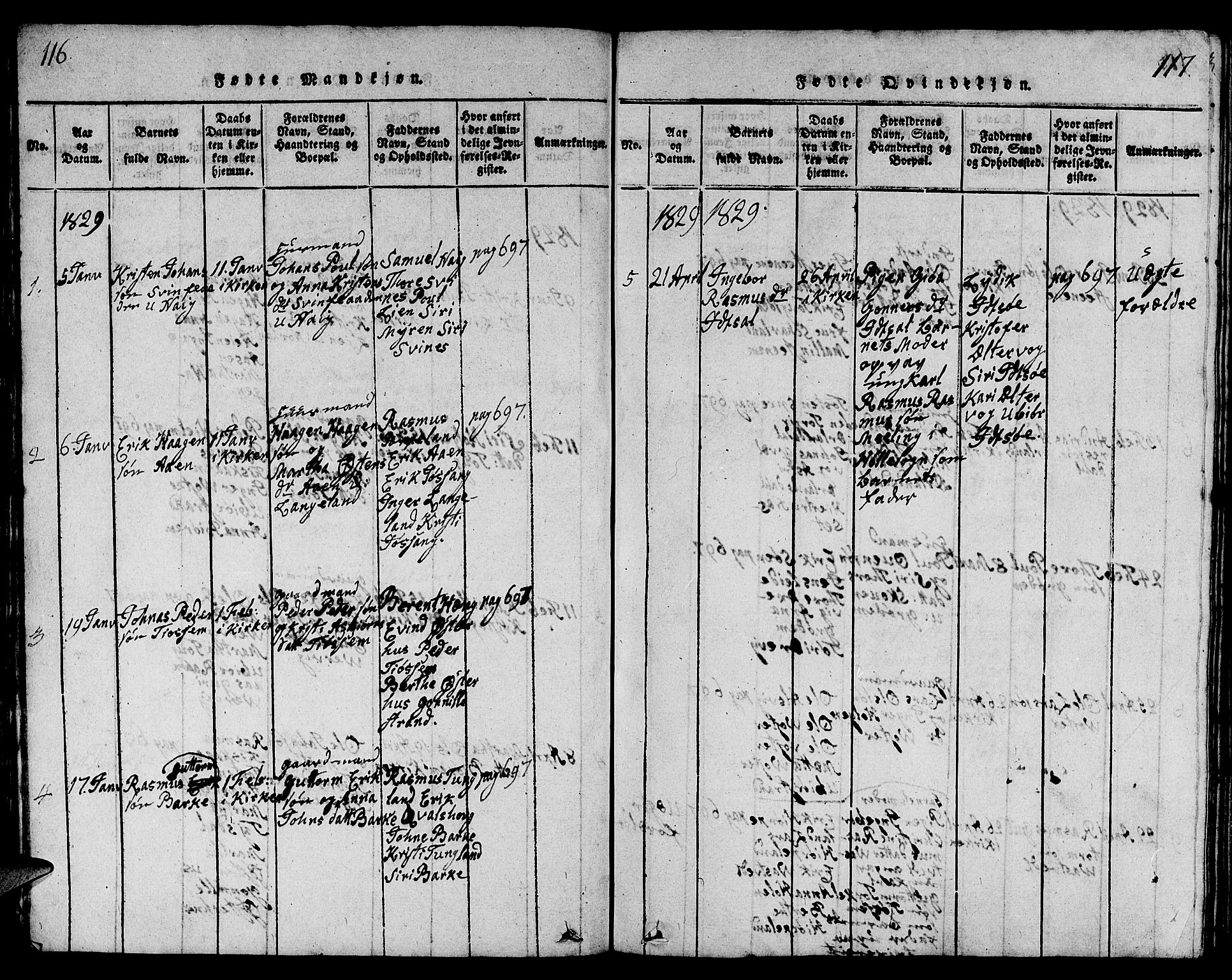 Strand sokneprestkontor, AV/SAST-A-101828/H/Ha/Hab/L0001: Parish register (copy) no. B 1, 1816-1854, p. 116-117