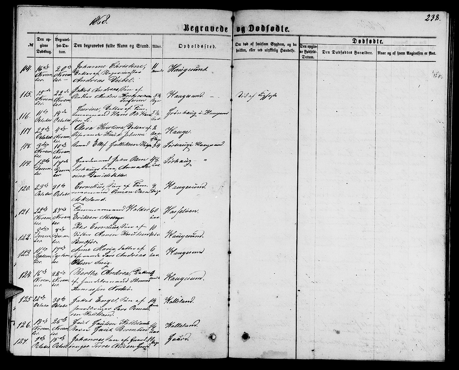 Torvastad sokneprestkontor, SAST/A -101857/H/Ha/Hab/L0007: Parish register (copy) no. B 7, 1866-1873, p. 238