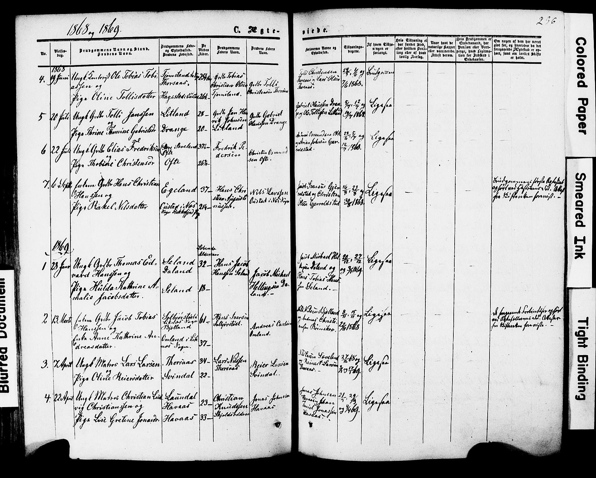 Herad sokneprestkontor, AV/SAK-1111-0018/F/Fa/Faa/L0005: Parish register (official) no. A 5, 1853-1886, p. 236