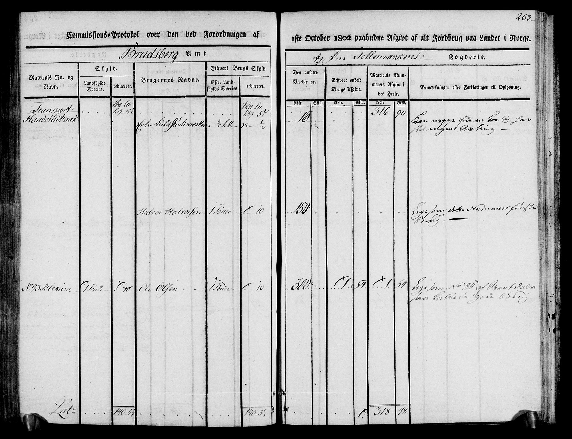 Rentekammeret inntil 1814, Realistisk ordnet avdeling, AV/RA-EA-4070/N/Ne/Nea/L0074: Øvre Telemarken fogderi. Kommisjonsprotokoll for fogderiets østre del - Tinn, Hjartdal og Seljord prestegjeld., 1803, p. 263