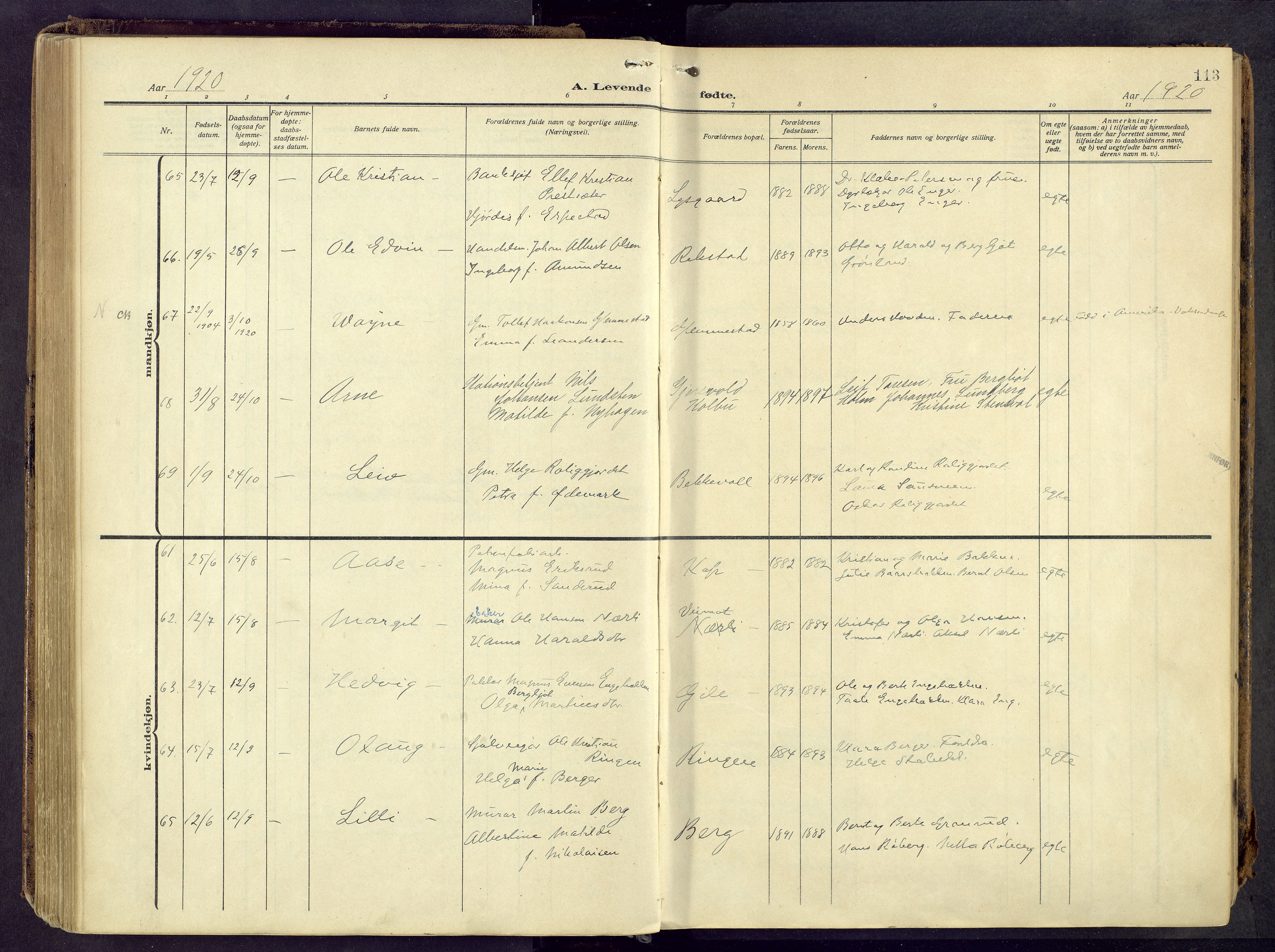 Østre Toten prestekontor, AV/SAH-PREST-104/H/Ha/Haa/L0010: Parish register (official) no. 10, 1910-1920, p. 113