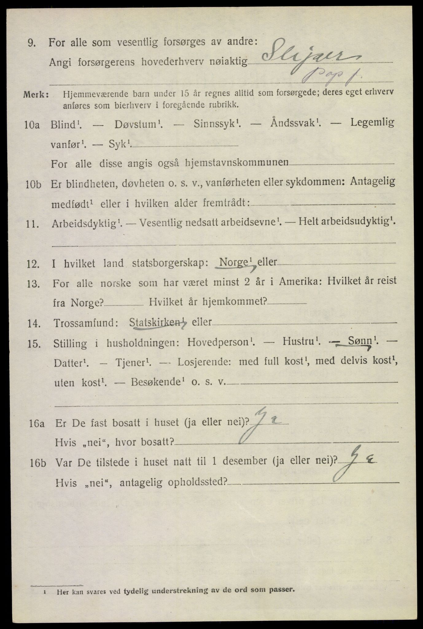 SAKO, 1920 census for Solum, 1920, p. 4193