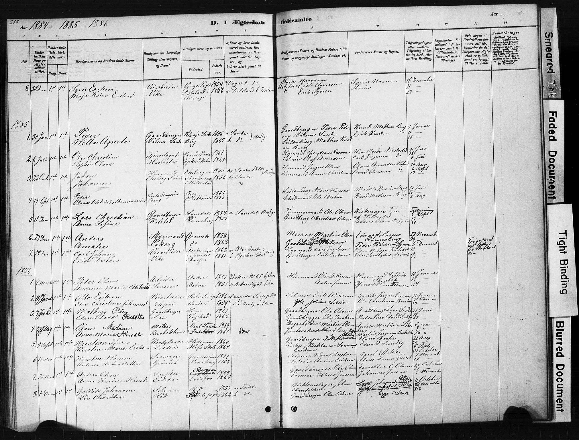 Hof kirkebøker, AV/SAKO-A-64/G/Ga/L0004: Parish register (copy) no. I 4, 1878-1930, p. 219