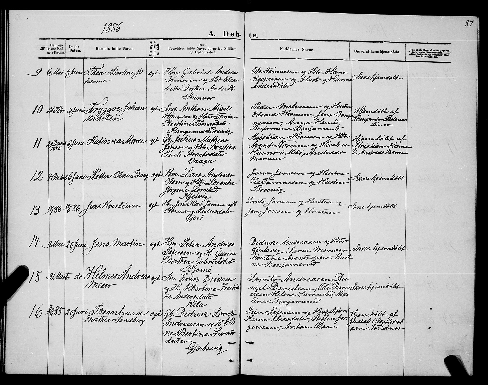 Ministerialprotokoller, klokkerbøker og fødselsregistre - Nordland, SAT/A-1459/841/L0620: Parish register (copy) no. 841C04, 1877-1896, p. 87