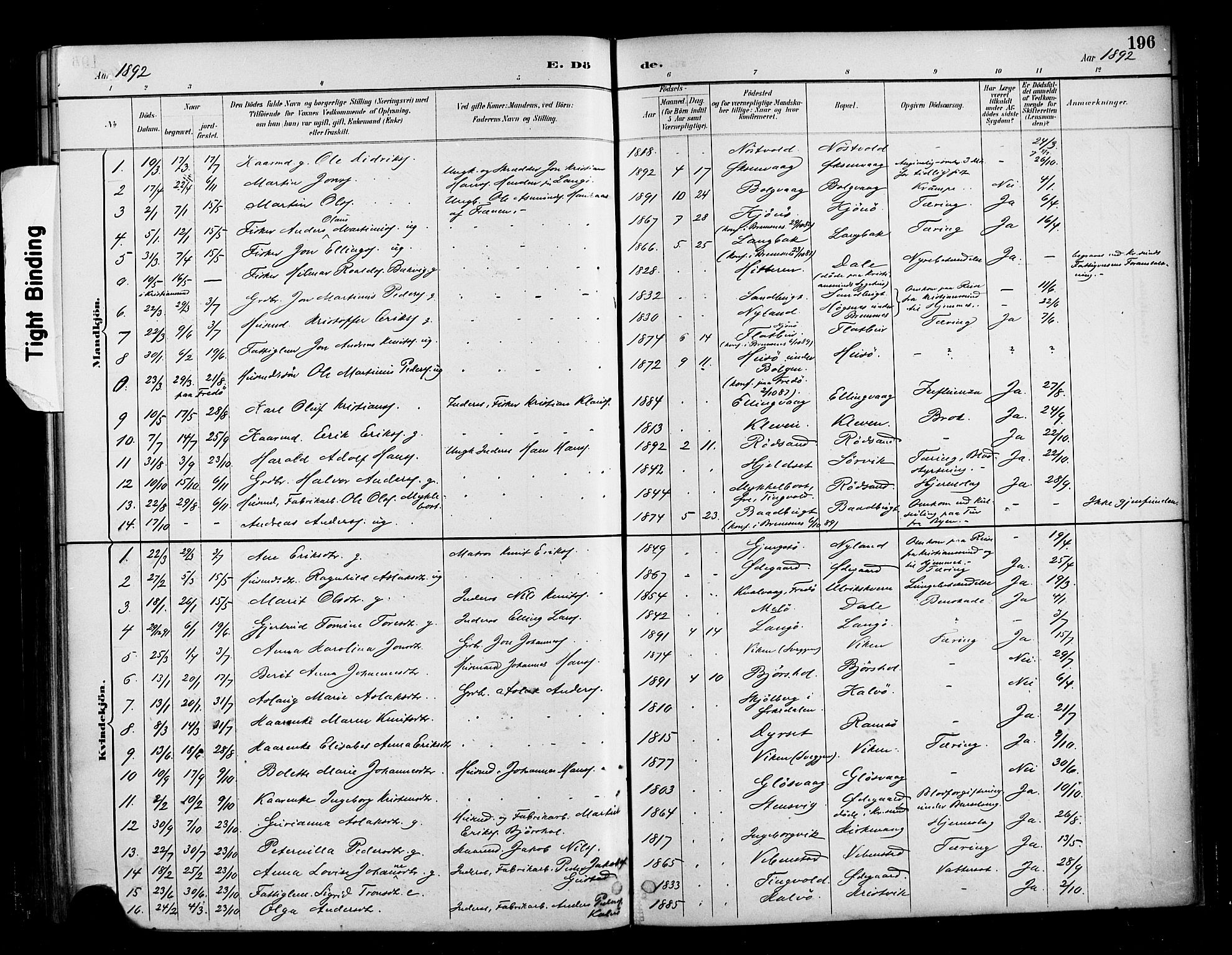 Ministerialprotokoller, klokkerbøker og fødselsregistre - Møre og Romsdal, SAT/A-1454/569/L0819: Parish register (official) no. 569A05, 1885-1899, p. 196