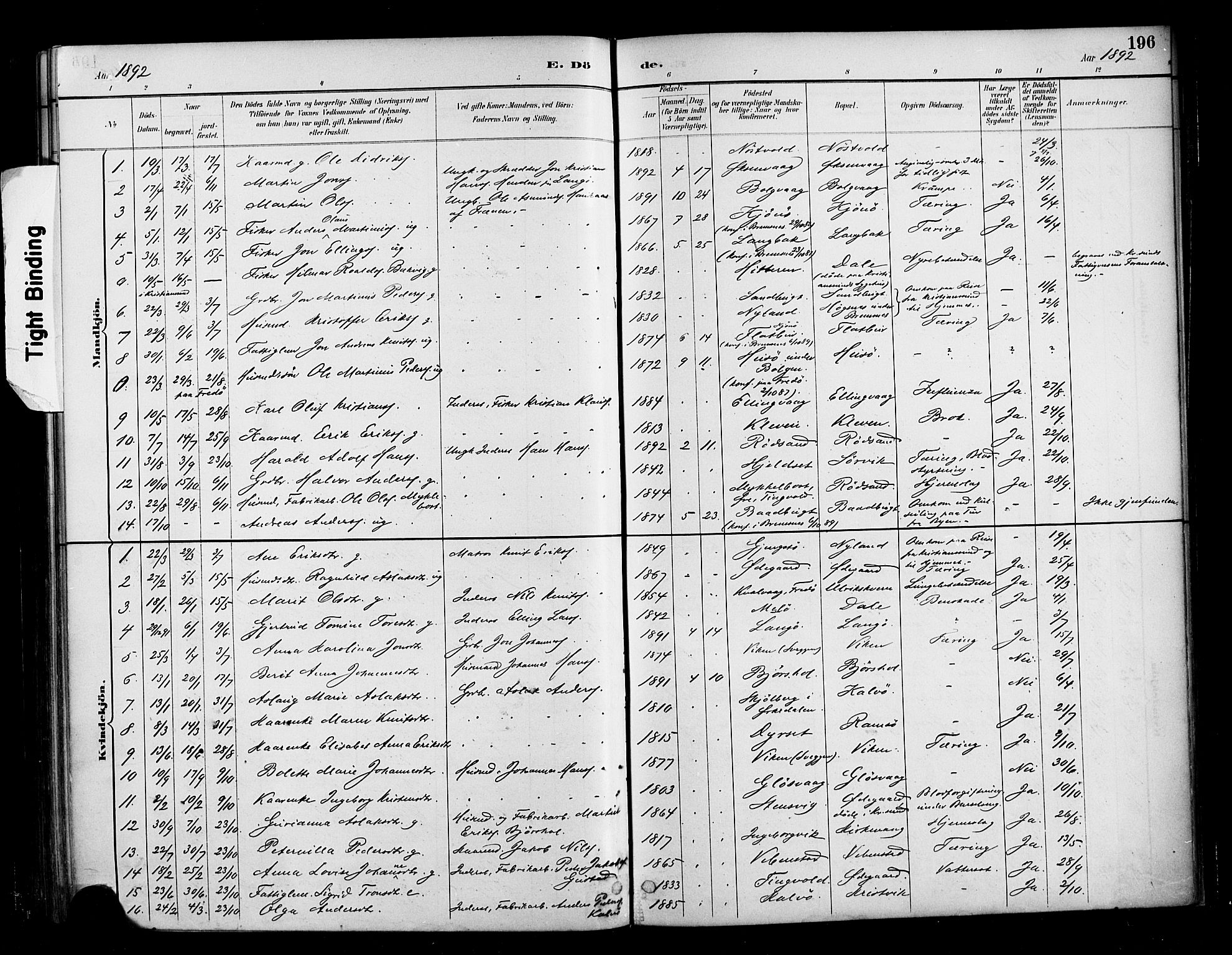 Ministerialprotokoller, klokkerbøker og fødselsregistre - Møre og Romsdal, AV/SAT-A-1454/569/L0819: Parish register (official) no. 569A05, 1885-1899, p. 196