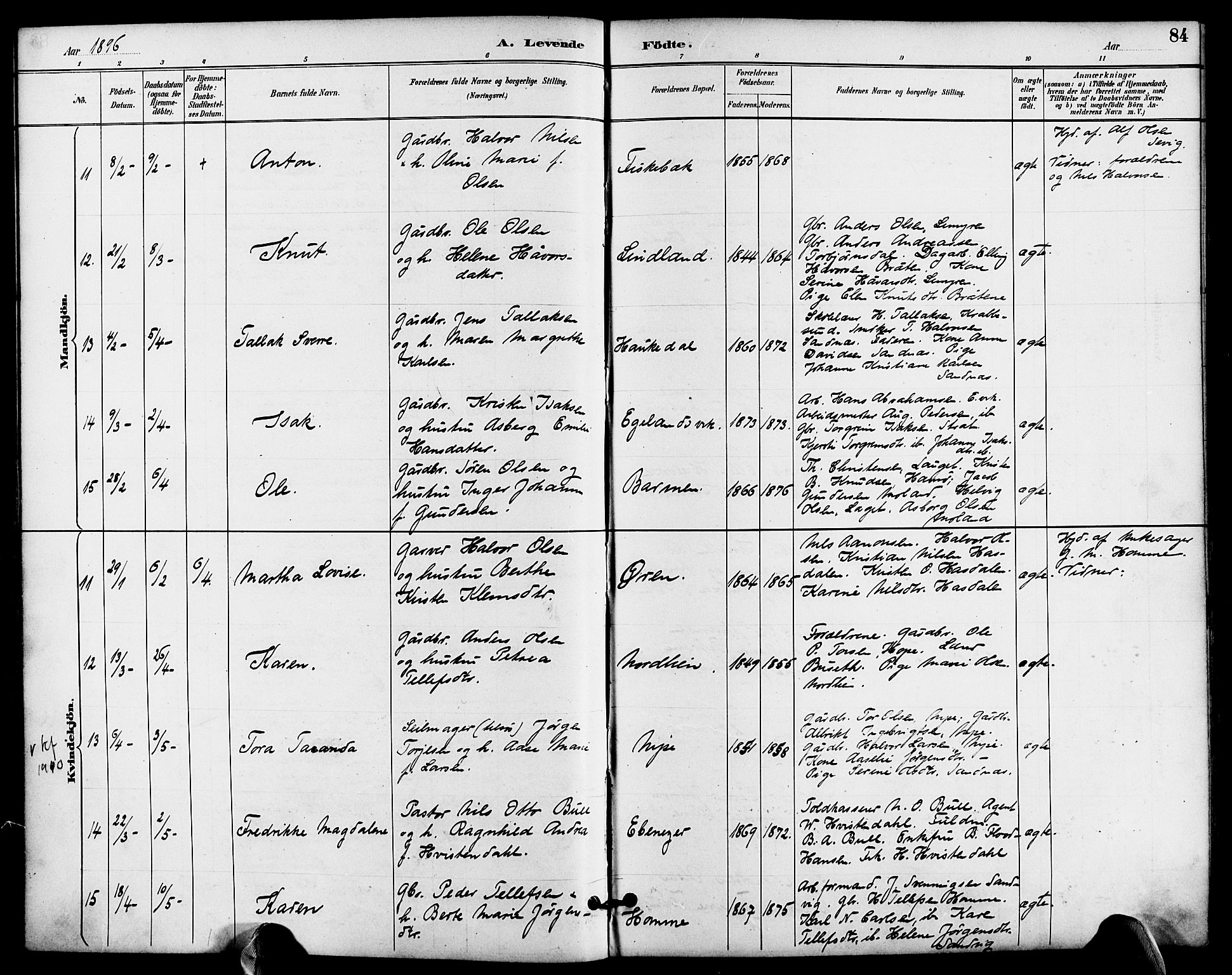 Søndeled sokneprestkontor, SAK/1111-0038/F/Fa/L0005: Parish register (official) no. A 5, 1889-1899, p. 84