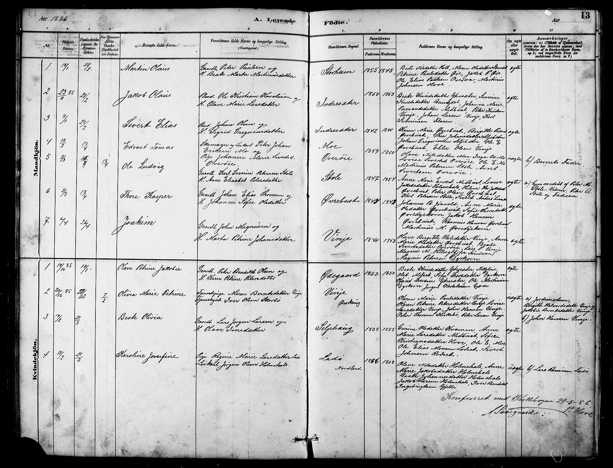 Ministerialprotokoller, klokkerbøker og fødselsregistre - Møre og Romsdal, SAT/A-1454/521/L0302: Parish register (copy) no. 521C03, 1882-1907, p. 13
