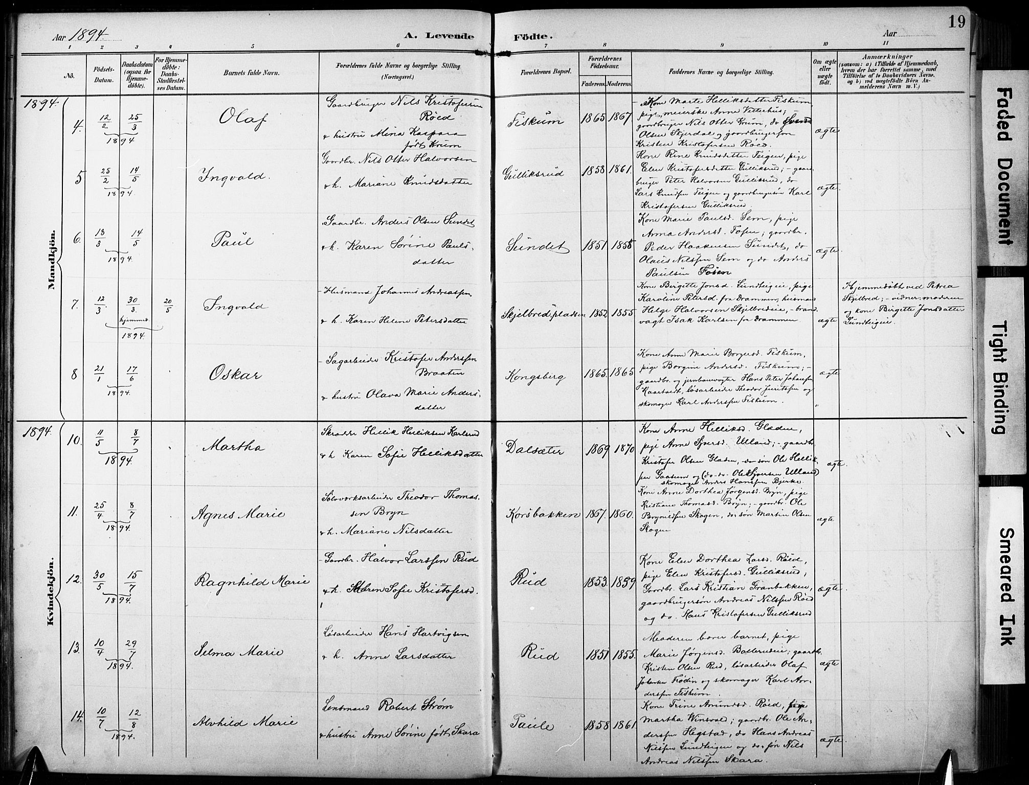 Fiskum kirkebøker, SAKO/A-15/F/Fa/L0003: Parish register (official) no. 3, 1890-1905, p. 19