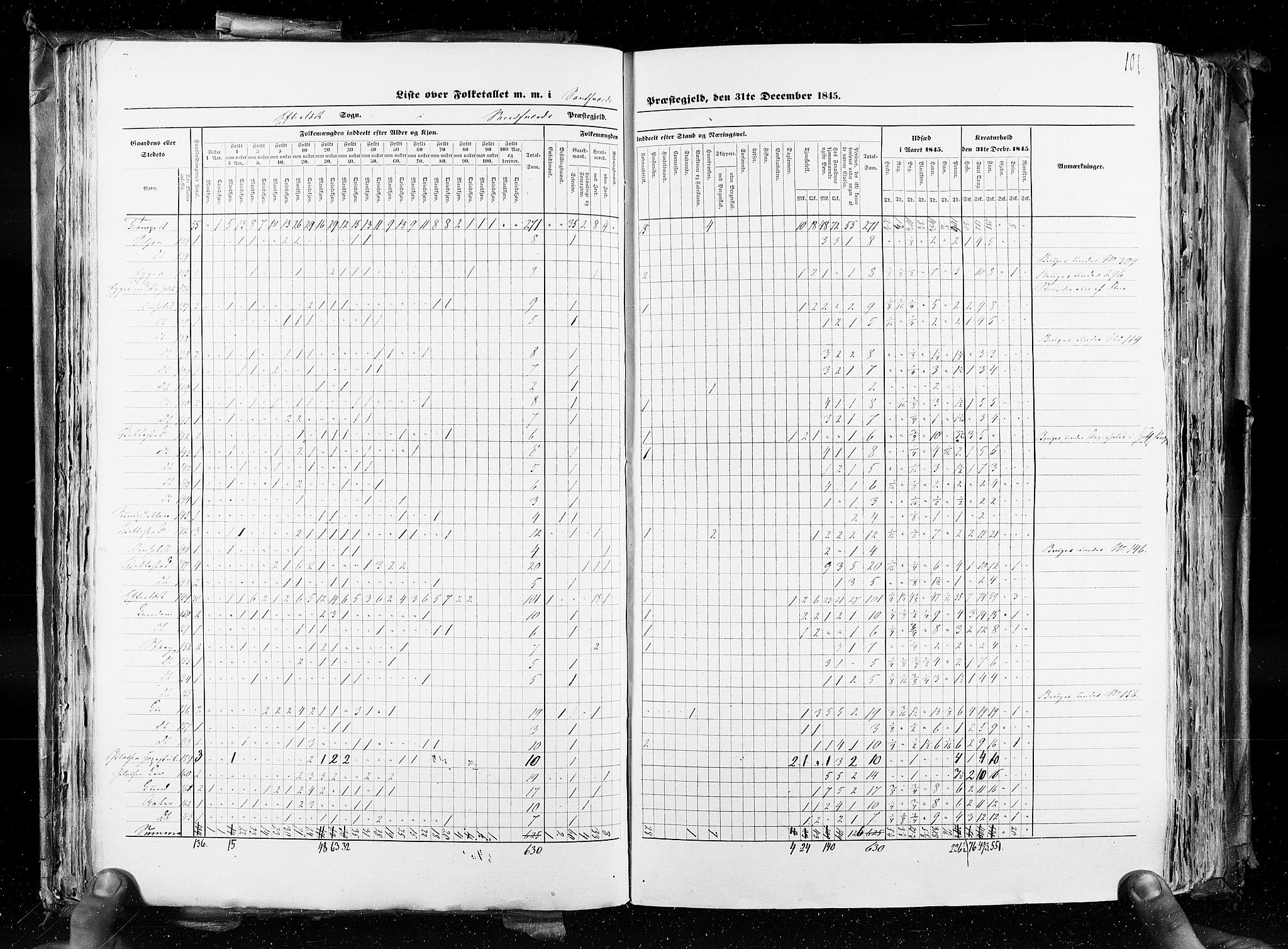 RA, Census 1845, vol. 4: Buskerud amt og Jarlsberg og Larvik amt, 1845, p. 101