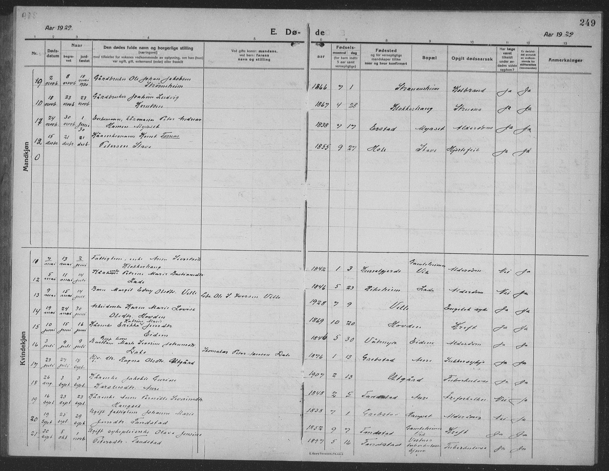 Ministerialprotokoller, klokkerbøker og fødselsregistre - Møre og Romsdal, AV/SAT-A-1454/523/L0342: Parish register (copy) no. 523C05, 1916-1937, p. 249