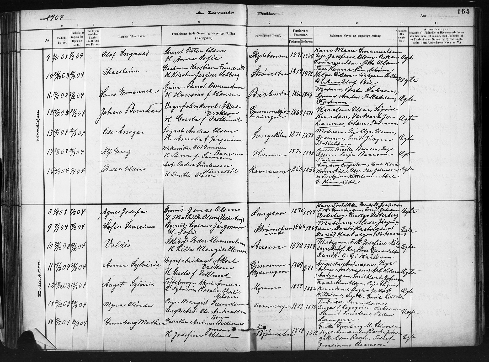 Barbu sokneprestkontor, AV/SAK-1111-0003/F/Fb/L0002: Parish register (copy) no. B 2, 1890-1922, p. 165