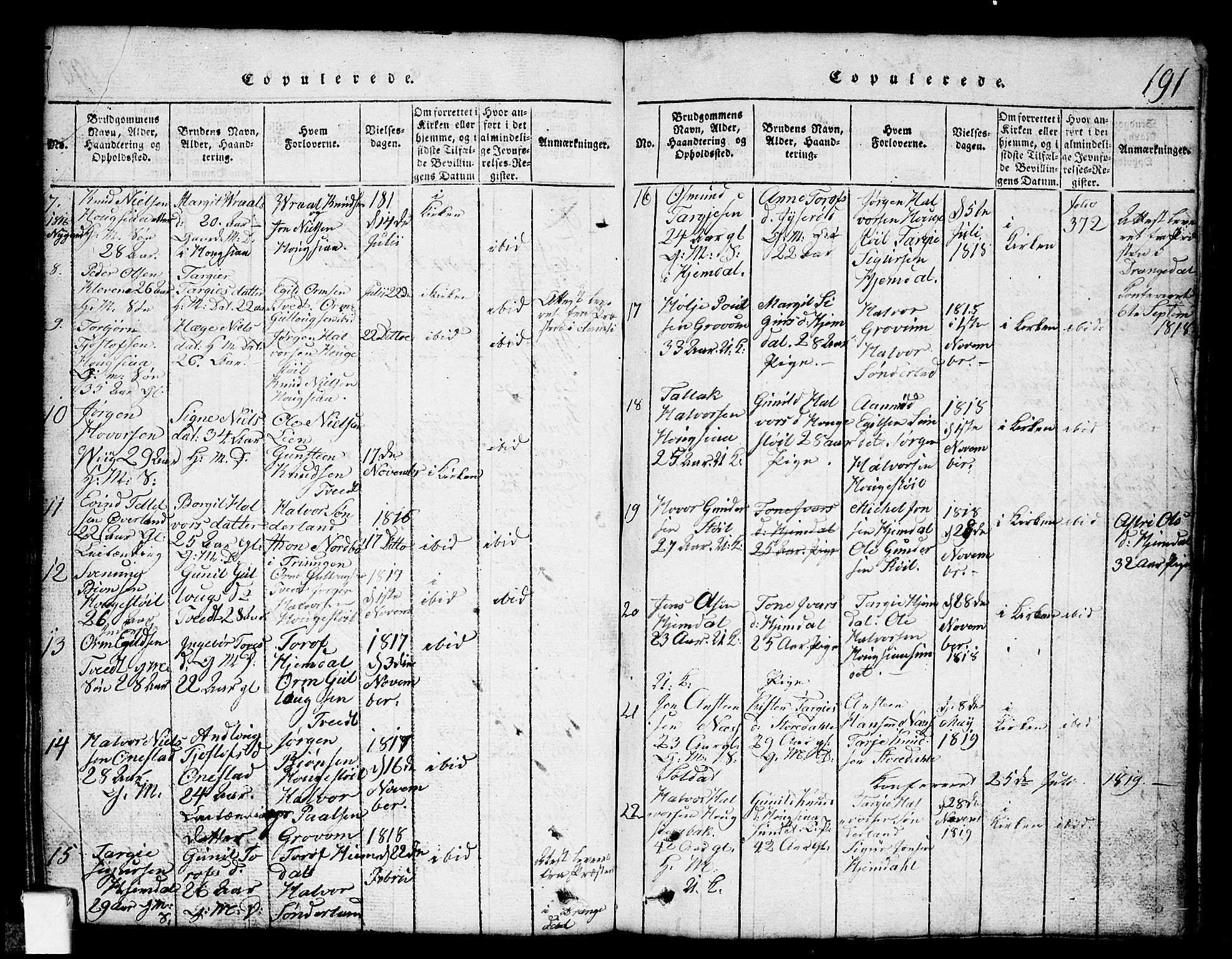 Nissedal kirkebøker, SAKO/A-288/G/Gb/L0001: Parish register (copy) no. II 1, 1814-1862, p. 191