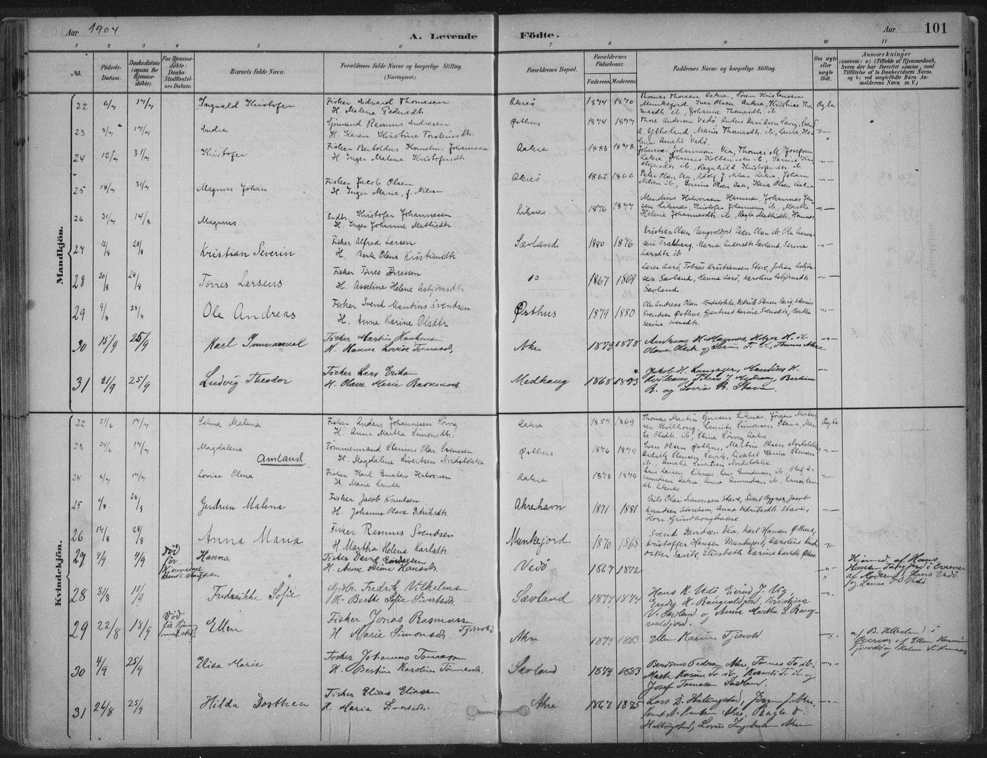 Kopervik sokneprestkontor, AV/SAST-A-101850/H/Ha/Haa/L0004: Parish register (official) no. A 4, 1882-1905, p. 101